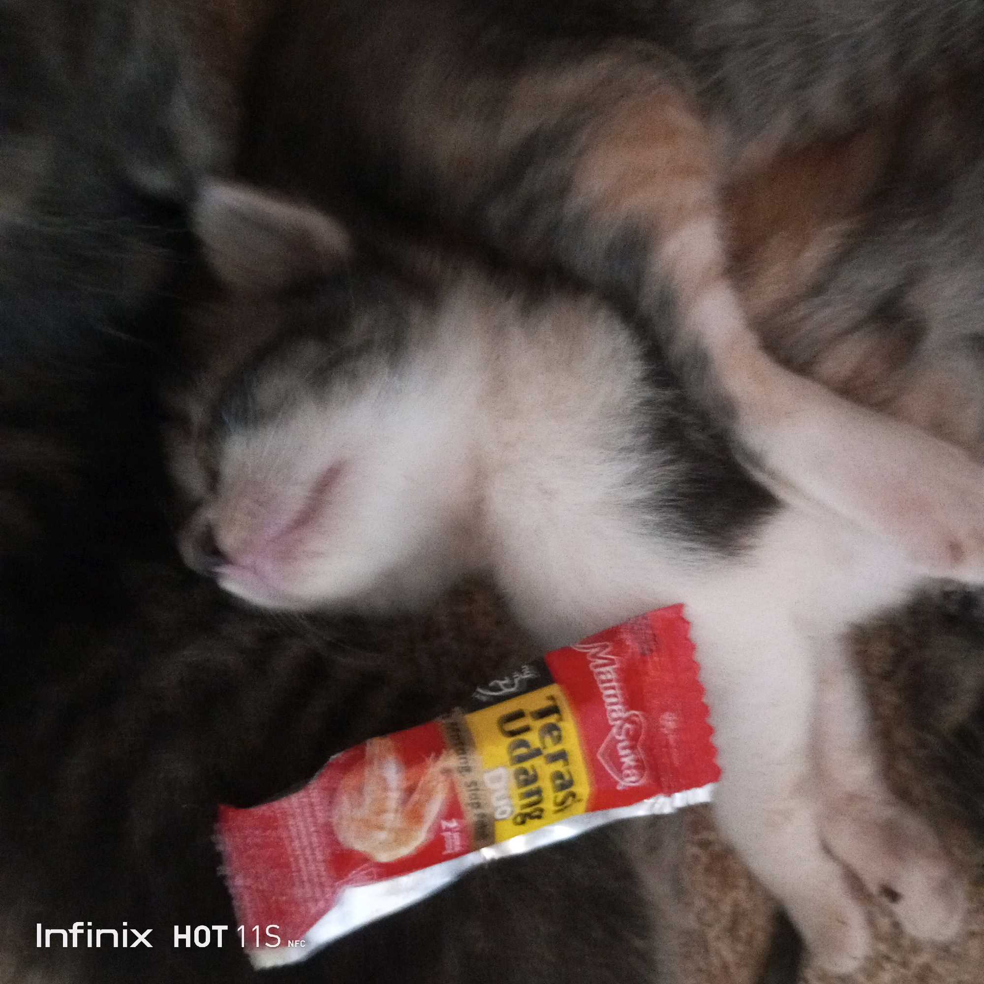 A close-up, low-angle, slightly blurred shot shows a Calico kitten sleeping, nestled in its mother's dark fur. A small, red and yellow packet of "MamaSuka Terasi Udang Duo" seasoning is placed diagonally across the kitten's chest. The kitten's head is turned to the left, its eyes closed, and its pink nose and mouth are visible. The environment is dark and indistinct, with a textured surface resembling a rug or blanket. The bottom left of the image shows the text "Infinix HOT 11S NFC". The image appears to have been taken indoors, likely in a residential setting. No specific details about Sukaslamet, Indonesia, are visible in the image.