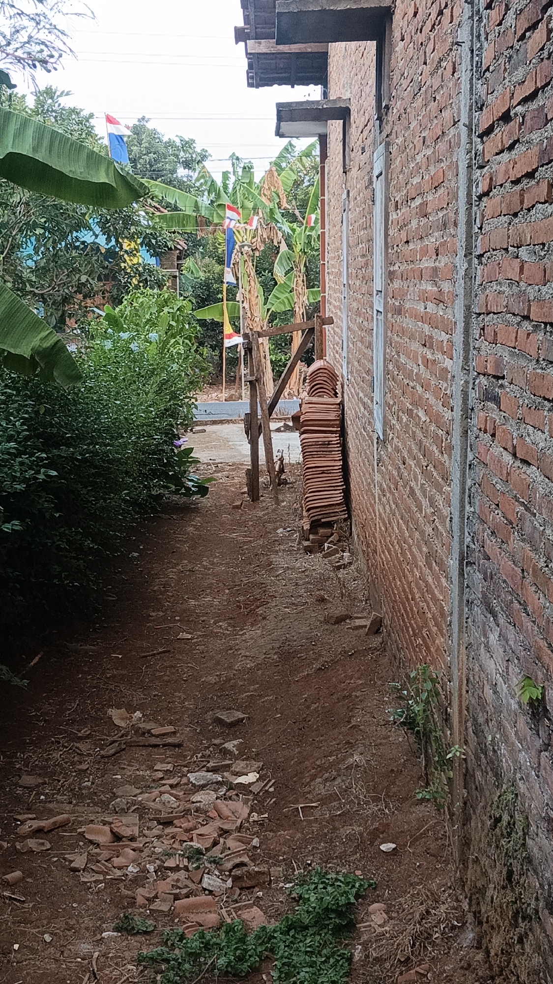 The image depicts a narrow, unpaved pathway adjacent to a brick building. The pathway is covered in loose soil and debris, including broken roof tiles and rocks. To the left of the path is a dense hedge of green bushes. In the background, there are banana trees and several flags, suggesting a festive or ceremonial occasion. The brick building has a rough, unfinished appearance, with visible mortar between the bricks. A stack of red roof tiles is leaning against the building. The scene appears to be in a rural or semi-rural setting in Kandangmas, Indonesia.