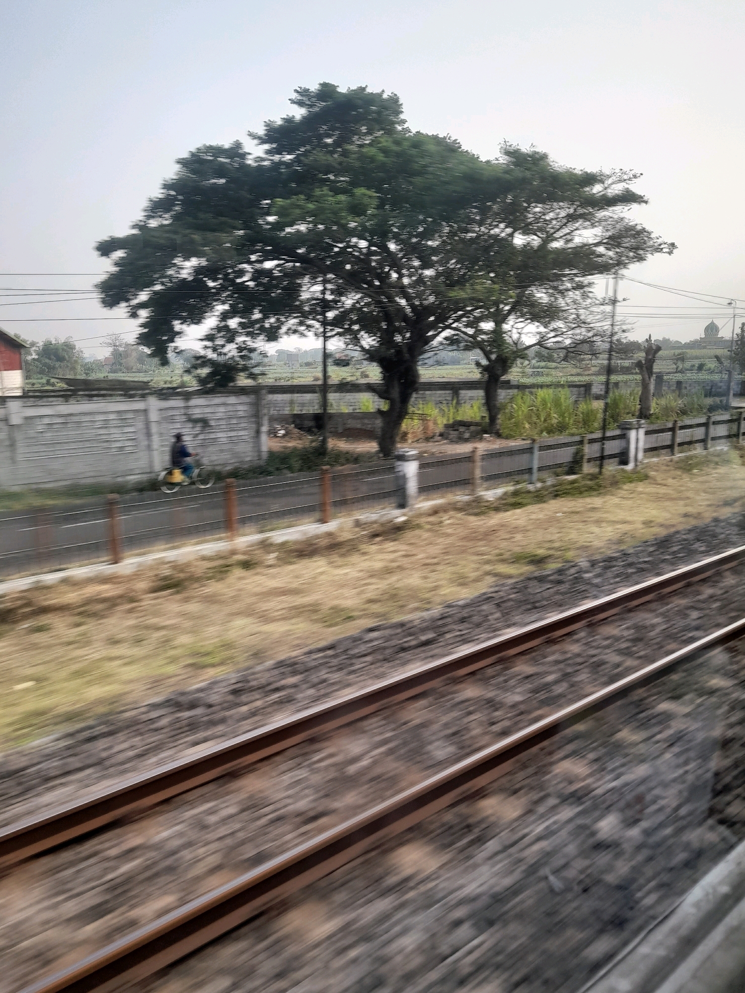 The image depicts a view from a moving vehicle, likely a train, looking out at a landscape. In the foreground, two parallel train tracks are visible, blurred due to motion. To the left of the tracks, a low, light-colored concrete wall runs horizontally across the frame. A person is riding a bicycle on a path next to the wall, also appearing blurred. Behind the wall, a large tree with dark green foliage dominates the mid-ground. Several other trees and vegetation are visible behind it. In the background, the sky is overcast with a pale, hazy light. The overall impression is that of a rural or semi-urban setting observed during transit.