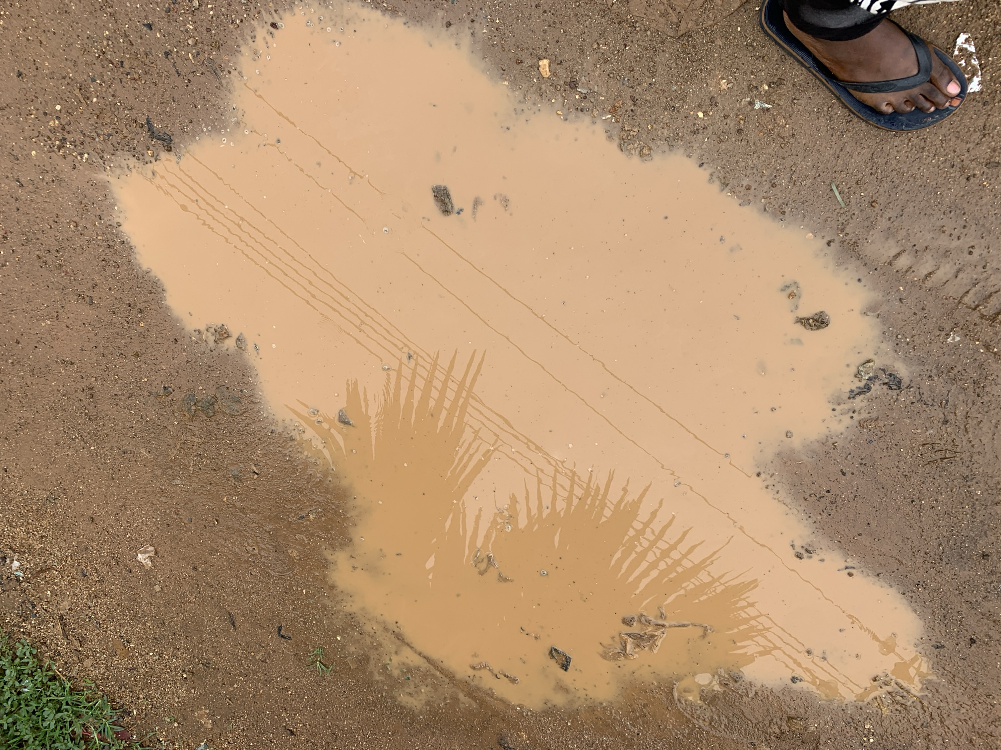 The image shows a muddy puddle on a dirt road in Rafin Par, Nigeria. Tire tracks are visible in the mud. The reflection of a palm tree is visible on the surface of the puddle. A foot wearing a flip-flop is near the upper right corner of the frame. Green vegetation is visible in the lower left corner.
