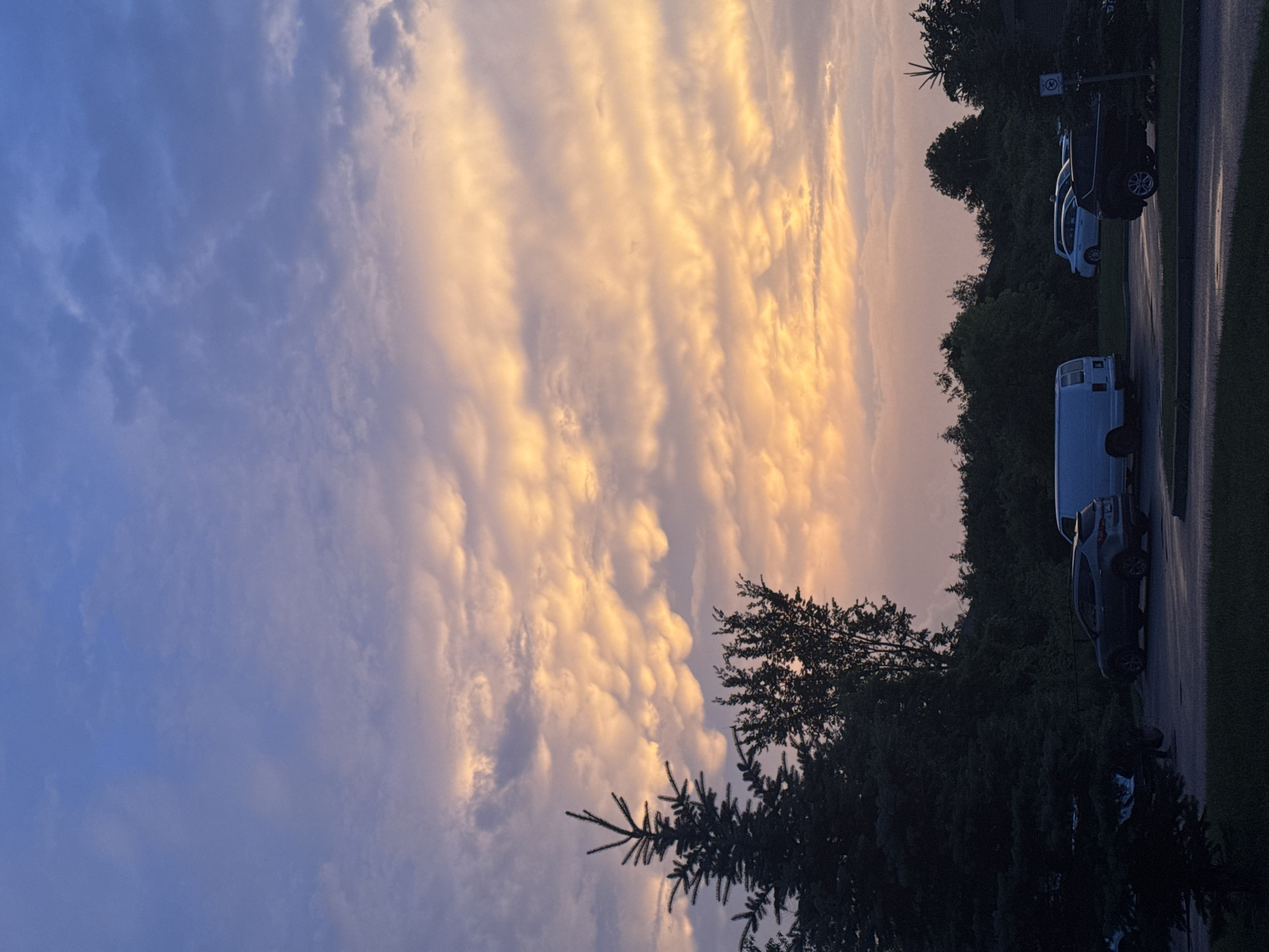 The image depicts a view of a parking lot and a surrounding wooded area under a sky filled with dramatic, textured clouds. The clouds are illuminated with a warm, golden-orange hue, suggesting a sunset or sunrise, with the upper portion of the sky displaying a soft blue. In the foreground, to the left, a dark green evergreen tree stands tall. Several vehicles are parked in the lot, including a dark-colored SUV, a white cargo van, and a lighter colored sedan. The ground in the parking lot appears wet, reflecting the sky. Behind the parking lot is a dense line of trees and foliage. The scene is devoid of any visible people. This image was taken in Gatineau, Canada, likely on a cloudy evening.