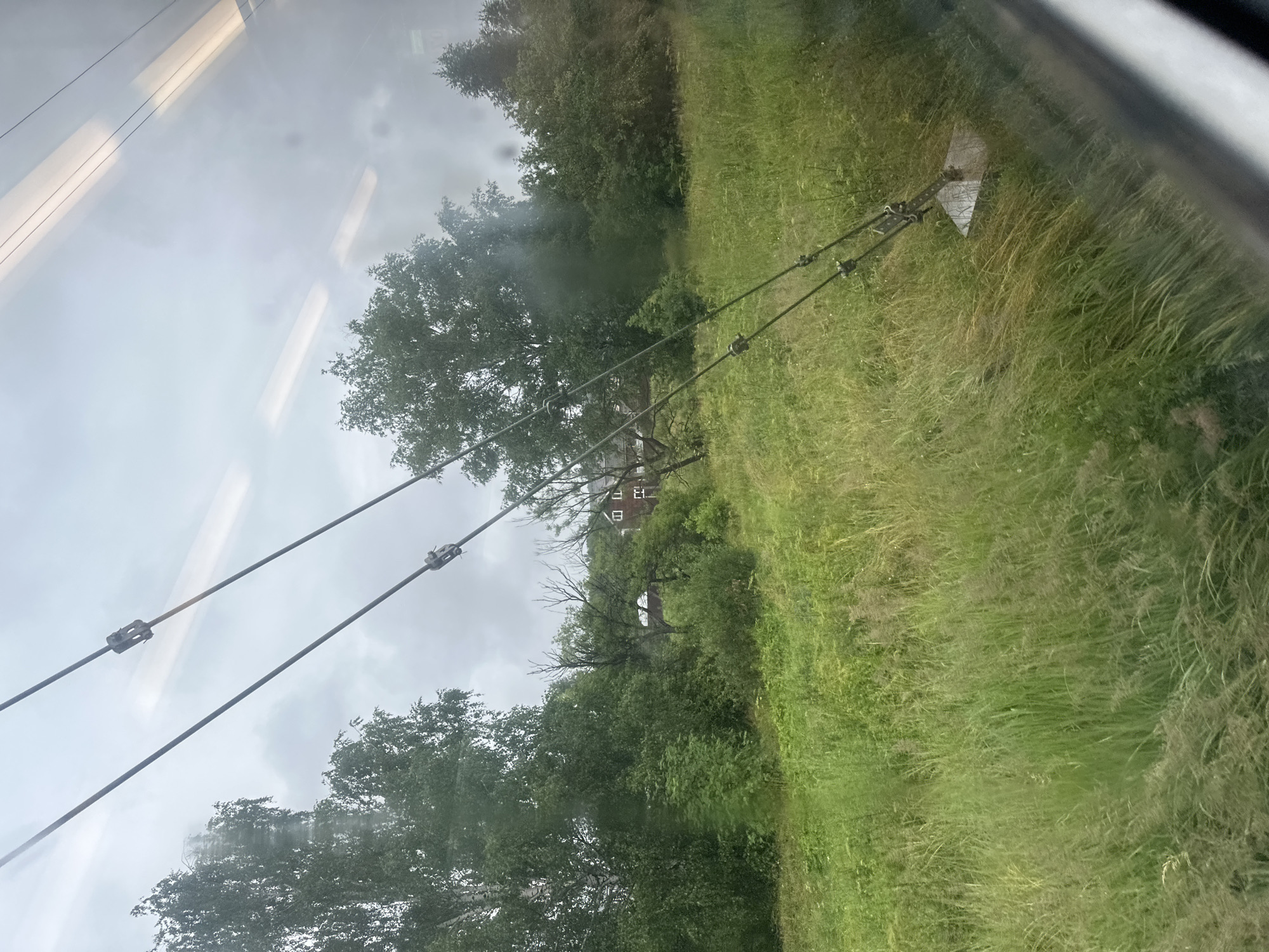 The image depicts a landscape viewed from a moving vehicle, likely a train, looking out a window. In the foreground, tall green grass is in focus, with some blades appearing blurred due to motion. Two parallel metal cables run diagonally across the frame from the upper left to the lower right, secured by metal clamps. These cables appear to be part of an overhead power line system.

Beyond the grass, a dense area of trees and bushes occupies the middle ground. Several trees, including a prominent birch tree with its characteristic white bark, are visible on the left. Further into the landscape, a red-roofed building with white-trimmed windows is partially visible amidst the trees, suggesting a rural or semi-rural setting. The sky is overcast and appears slightly hazy or misty, with reflections of internal lights from the vehicle visible on the window surface. The overall environment suggests a temperate climate, possibly during a cloudy day in summer or spring. The scene is located in Chepelyovo, Russia, as indicated by the prompt.