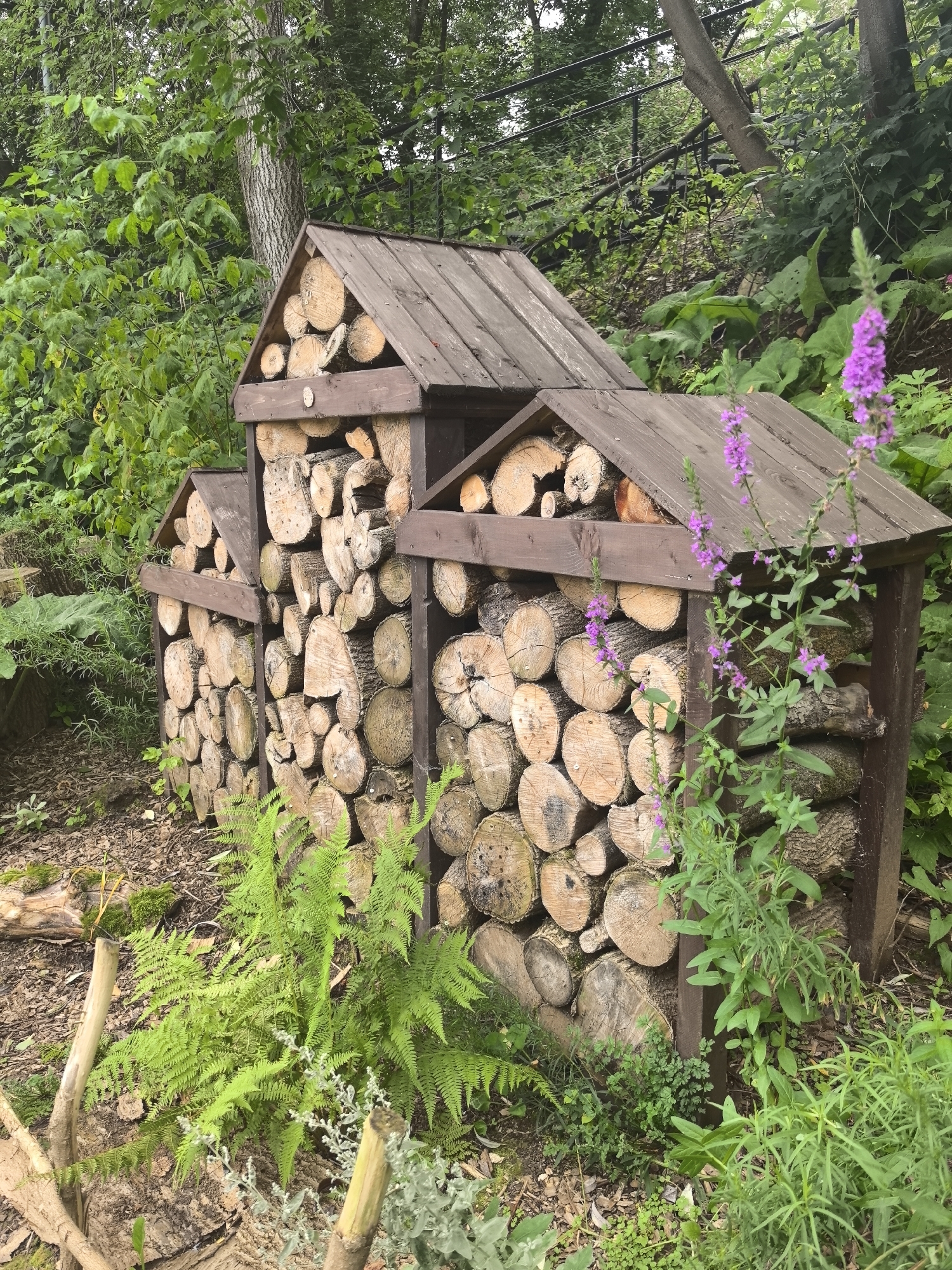 An outdoor scene features a rustic, multi-compartment log structure made of stacked firewood, possibly a habitat for insects or small animals. The structure has wooden roofs with a pitched design. In front of and around the log structure, lush green ferns and tall flowering plants with purple blossoms are visible. The ground is covered with a mix of soil, fallen leaves, and wood chips. The background consists of dense green foliage and trees, suggesting a natural or garden setting within a city. No people are present in the image. The scene appears to be in Perm, Russia, as indicated by the user's request.