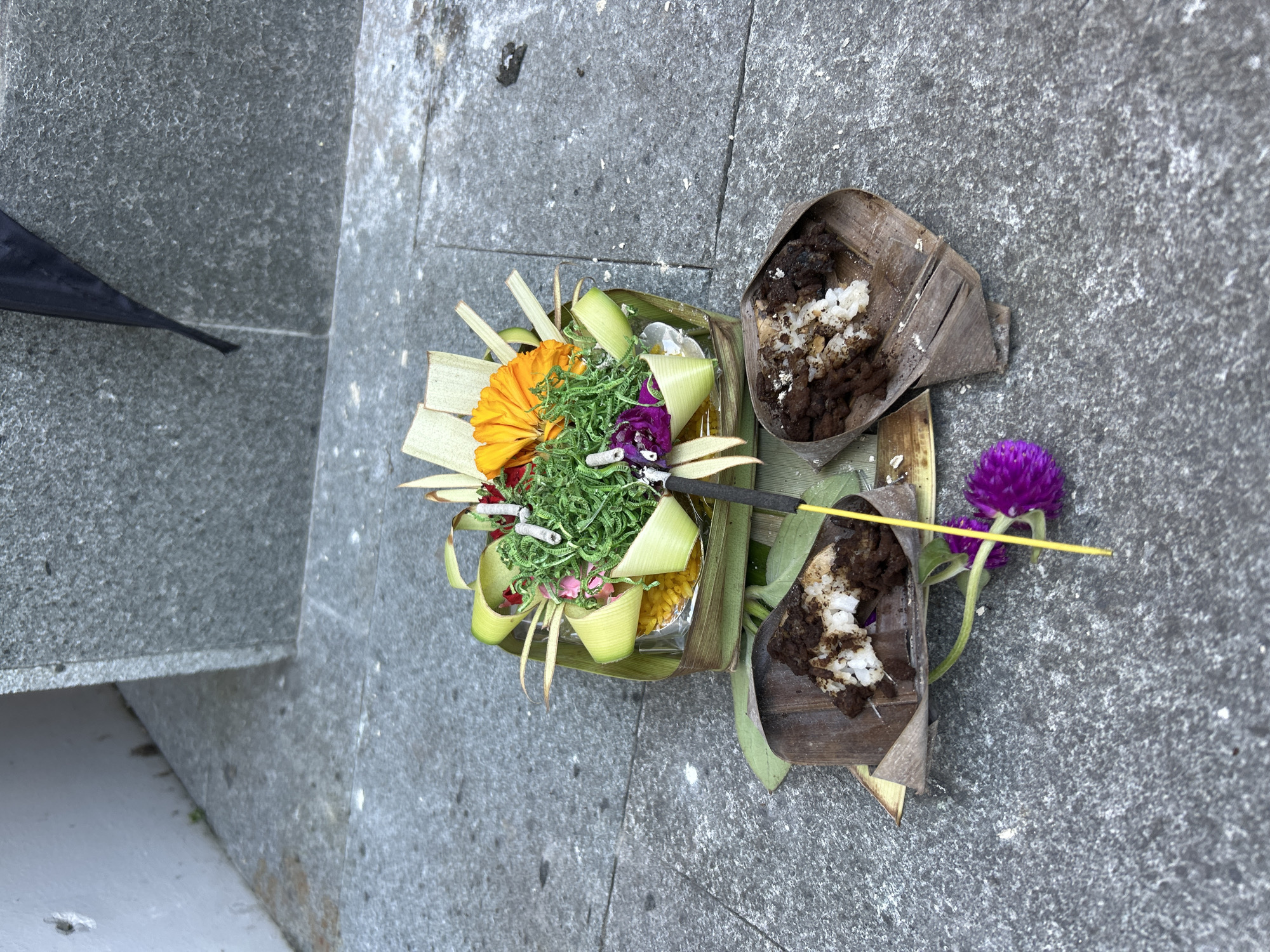 This media file features two Balinese offerings, known as Canang Sari, placed on a textured gray stone surface. The offerings are intricately arranged with natural materials.
The first Canang Sari, positioned to the left, is a small woven basket made of palm leaves. It is filled with a vibrant assortment of fresh green foliage, a bright orange gerbera daisy, small purple flowers, and what appears to be yellow rice. Delicate green palm leaf embellishments frame the arrangement. A thin black stick, possibly an incense stick, pierces through the center of this offering.
To the right of the first offering, a second Canang Sari is presented. This one is made from a folded brown palm leaf and contains a mixture of dark brown granular material and white grains, likely rice. A bright purple globe amaranth flower is attached to a stem and extends from this offering, its vibrant color contrasting with the muted tones of the leaf. A thin yellow stick, possibly another incense stick, rests diagonally across this offering.
The background is a rough, gray, stone-like surface, suggesting an outdoor setting. The lighting appears to be natural daylight, possibly overcast given the even illumination. The overall scene evokes a sense of religious or cultural practice, common in Bali, Indonesia, where such offerings are made as part of daily rituals. There is no visible text in the image. The presence of an umbrella tip in the upper left corner hints at potentially rainy or very sunny weather. The location is Sukawati, Indonesia, known for its traditional markets and cultural heritage.