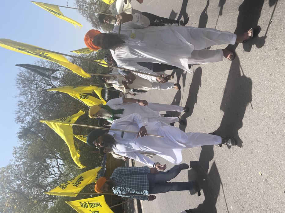A group of men, all wearing white clothing and turbans, are walking down a street in Sahibzada Ajit Singh Nagar, India. They are holding yellow flags with Punjabi writing. Some of the men are carrying wooden sticks. They are all walking in the same direction and seem to be participating in a peaceful protest or march. The street is paved and there are trees lining the sidewalk. The sky is clear and the weather appears sunny. There are shadows cast on the ground by the men and the trees. The men are all looking ahead as they walk.