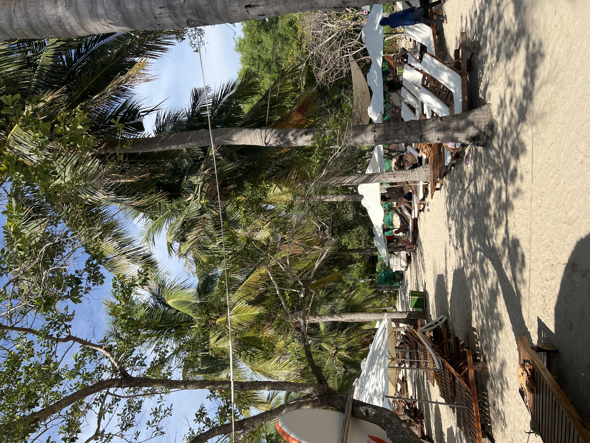 The image shows a beach scene in Nha Trang Ward, Vietnam. Palm trees line the shore, casting shadows on the sand. Beach chairs and umbrellas are arranged along the beach. People can be seen relaxing on the chairs, and some are partially obscured by the trees and umbrellas.