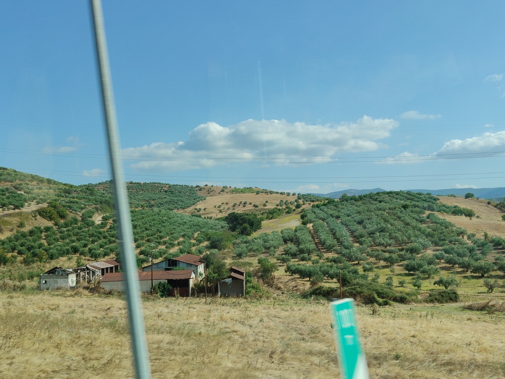 The image depicts a rural landscape with rolling hills covered in olive groves. In the foreground, a field of dry, golden grass stretches across the scene. Several dilapidated buildings with rusted metal roofs are visible amongst the vegetation. A tall, out-of-focus grey pole runs vertically through the left side of the image, obscuring parts of the scene. A bright blue and white sign with some text is partially visible in the bottom right corner. The sky above is a clear blue with a few wispy clouds. The scene appears to be in the city of Trikala, Greece, a region known for its agricultural production, including olive oil.