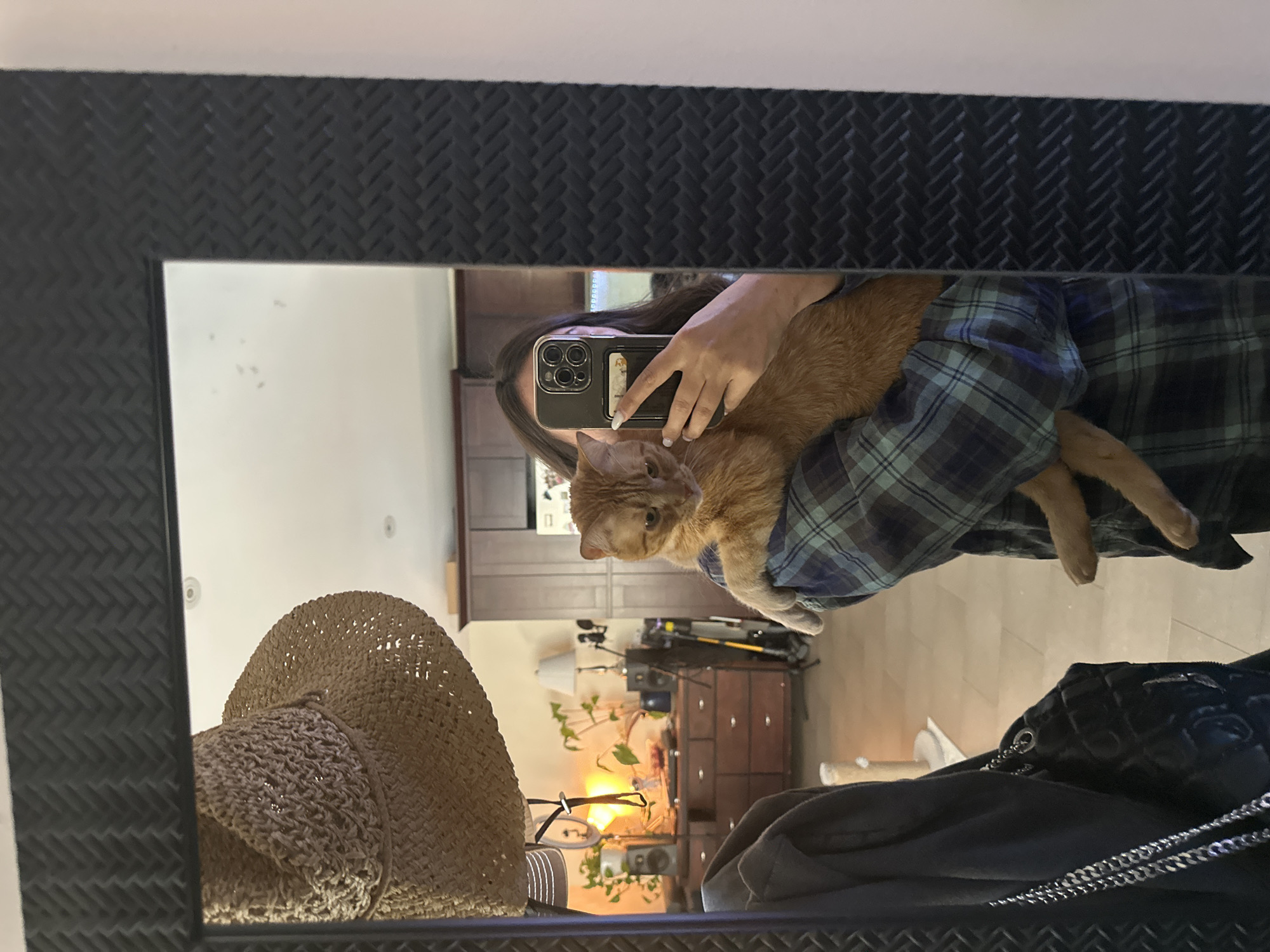 A reflection in a mirror shows a person holding an orange cat. The person is holding a phone up to take the picture. The person is wearing a blue and green plaid shirt. A straw hat is in the foreground. In the background, there is a dresser, a lamp, and plants. The location is a home.
