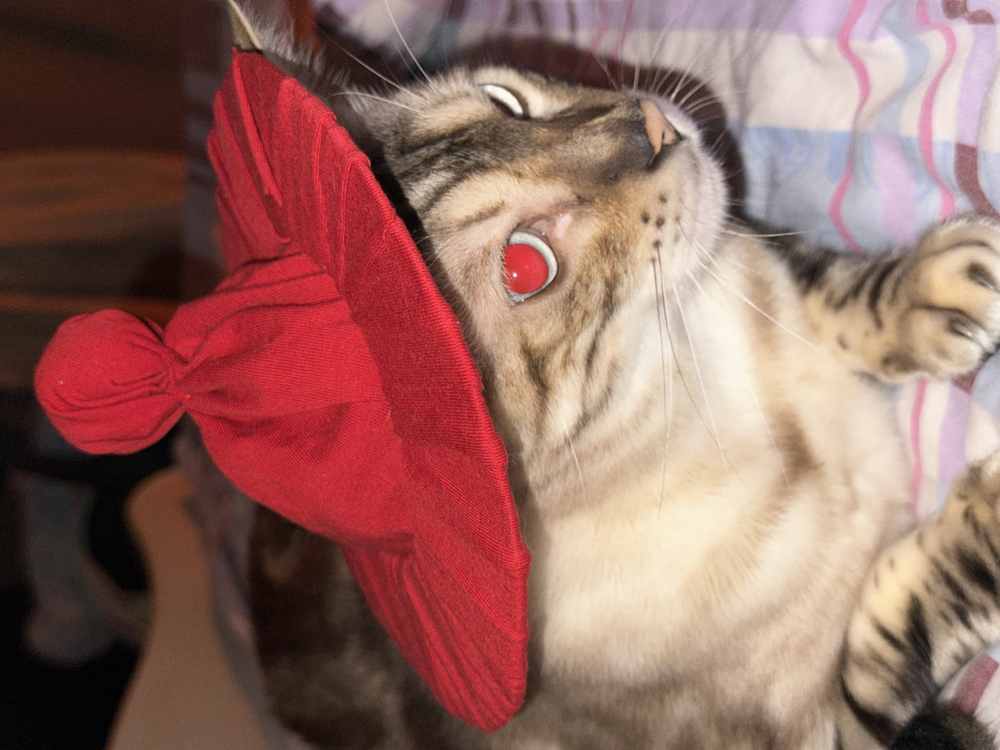 A close-up, head-and-shoulders shot of a cat wearing a red, wide-brimmed hat with a pom-pom on top, rests on a patterned surface. The cat has tabby markings, with light brown and cream fur and dark stripes. Its left eye is glowing red, while the right eye is mostly closed, showing a sliver of white. The hat casts a shadow over part of the cat's face. The background is softly blurred, suggesting an indoor setting. The image does not depict anything that would indicate a specific location in Energetik, Russia.