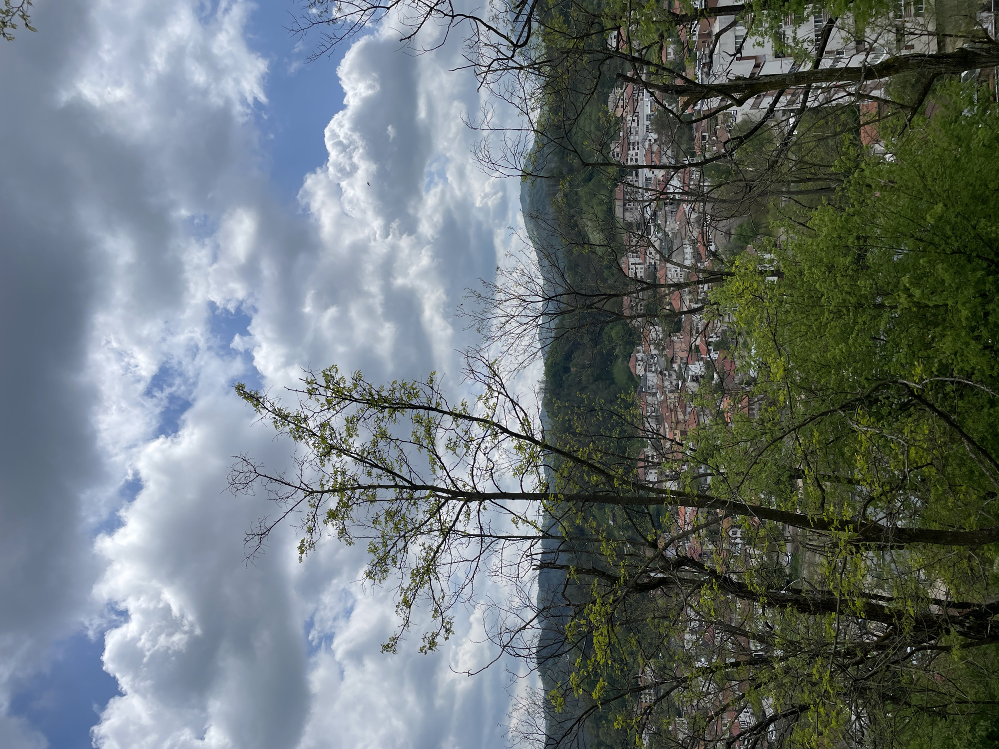 The image presents a view in Zlatograd, Bulgaria. The foreground features bare tree branches and trees with newly-grown green foliage. Behind them, a hillside is visible, densely covered with trees and foliage. Houses with red-tiled roofs and white walls are visible on the hillside. The sky is filled with white clouds against a blue background.