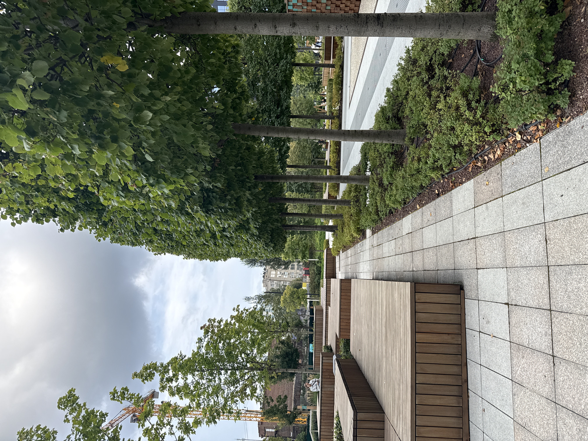 This is an exterior, eye-level, daytime photograph taken in Yekaterinburg, Russia. The scene is a public urban space featuring a paved walkway lined with a row of evenly spaced trees. To the left, there are multi-level wooden benches and planters. In the background, there are buildings, some of which appear to be under construction, indicated by a yellow crane. The sky is overcast.