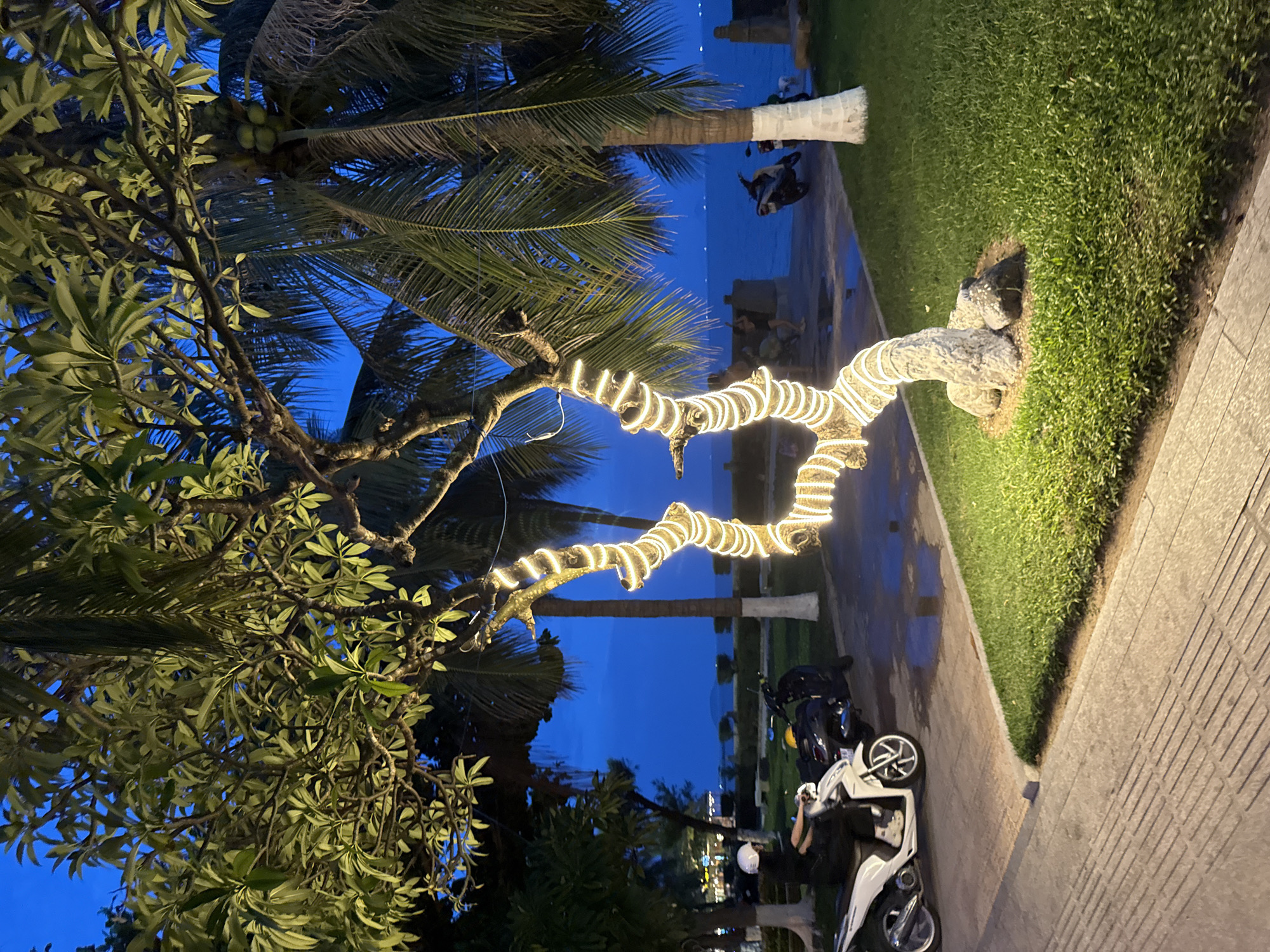The image captures a twilight scene by the coast in Nha Trang, Vietnam. In the foreground, a sidewalk with textured paving stones runs alongside a patch of vibrant green grass. A motorcycle, ridden by a person wearing a white helmet and dark clothing, is parked on a paved area adjacent to the sidewalk. Behind the motorcycle, another scooter is visible.
Dominating the midground is a tree with its trunk and lower branches artfully decorated with warm-toned string lights, creating a spiral effect. The tree's leaves are illuminated by the lights and by an unseen source from above. To the right of this tree, a tall palm tree with its trunk whitewashed stands prominently. Beyond the trees, a paved area extends towards the sea, with a low stone wall bordering the water. The ocean stretches out to the horizon under a deep blue sky, with the faint outlines of distant landmasses visible. Scattered across the water are small lights, possibly from boats or distant buildings. In the background, other trees and foliage are present, contributing to the coastal ambiance. The overall atmosphere is serene and inviting, with the artificial lighting adding a touch of festivity to the natural coastal setting.