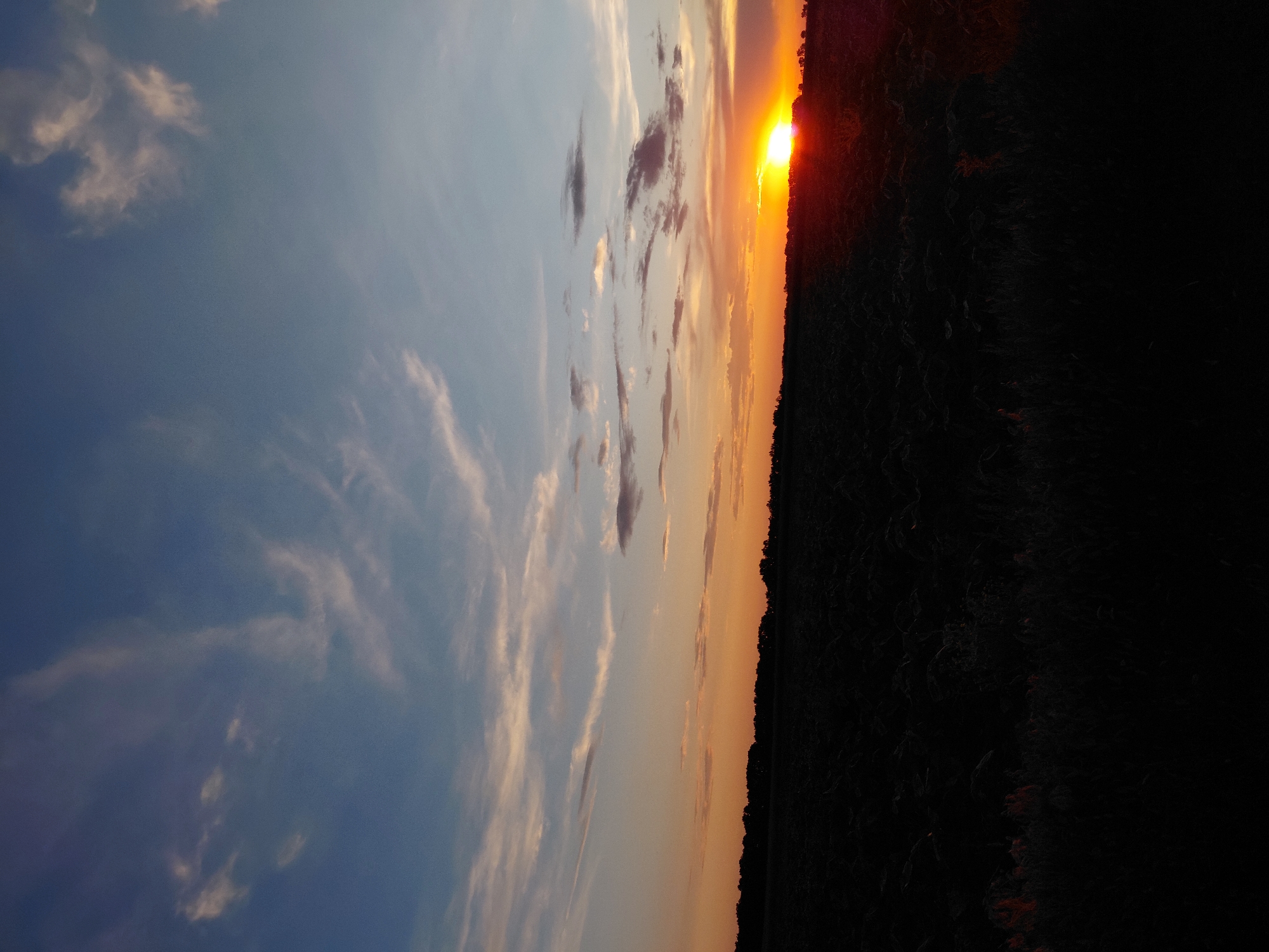An outdoor, vertical, full shot depicts a rural sunset in an unidentified location. The upper portion of the frame is dominated by a gradient of blue and orange sky, streaked with wispy white clouds. The horizon line, just above the center of the image, is marked by a dark silhouette of trees and foliage. A portion of the sun, a bright orange orb, is visible just above the horizon, casting a golden glow across the sky. The lower half of the image is a dark, silhouetted expanse of a cultivated field, with subtle variations in texture suggesting rows of crops or tilled earth. The lighting suggests the scene is captured during the golden hour, shortly before dusk.