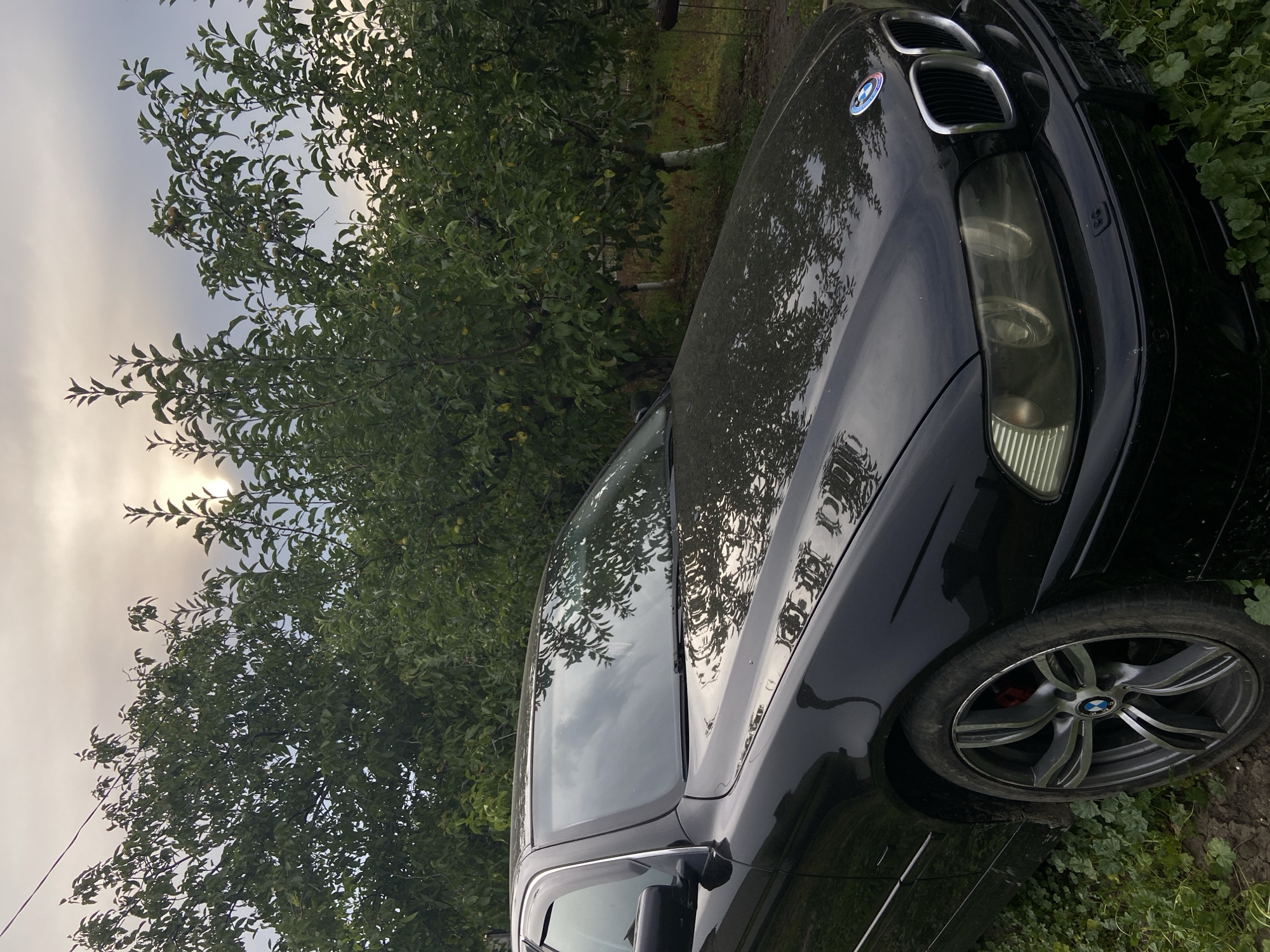 In an outdoor setting, a black BMW sedan is parked on uneven ground covered with green vegetation. The car is positioned diagonally, facing towards the right of the frame. The front of the car is visible, including the headlights, grille with the BMW logo, and the hood which reflects the surrounding environment. Trees with green foliage and some visible fruit are situated behind the car, extending upwards and forming a canopy. The sky above is overcast with a hint of sunlight breaking through the clouds. The scene appears to be in a rural or semi-rural location, possibly a garden or orchard. There are no people or animals present in the image.