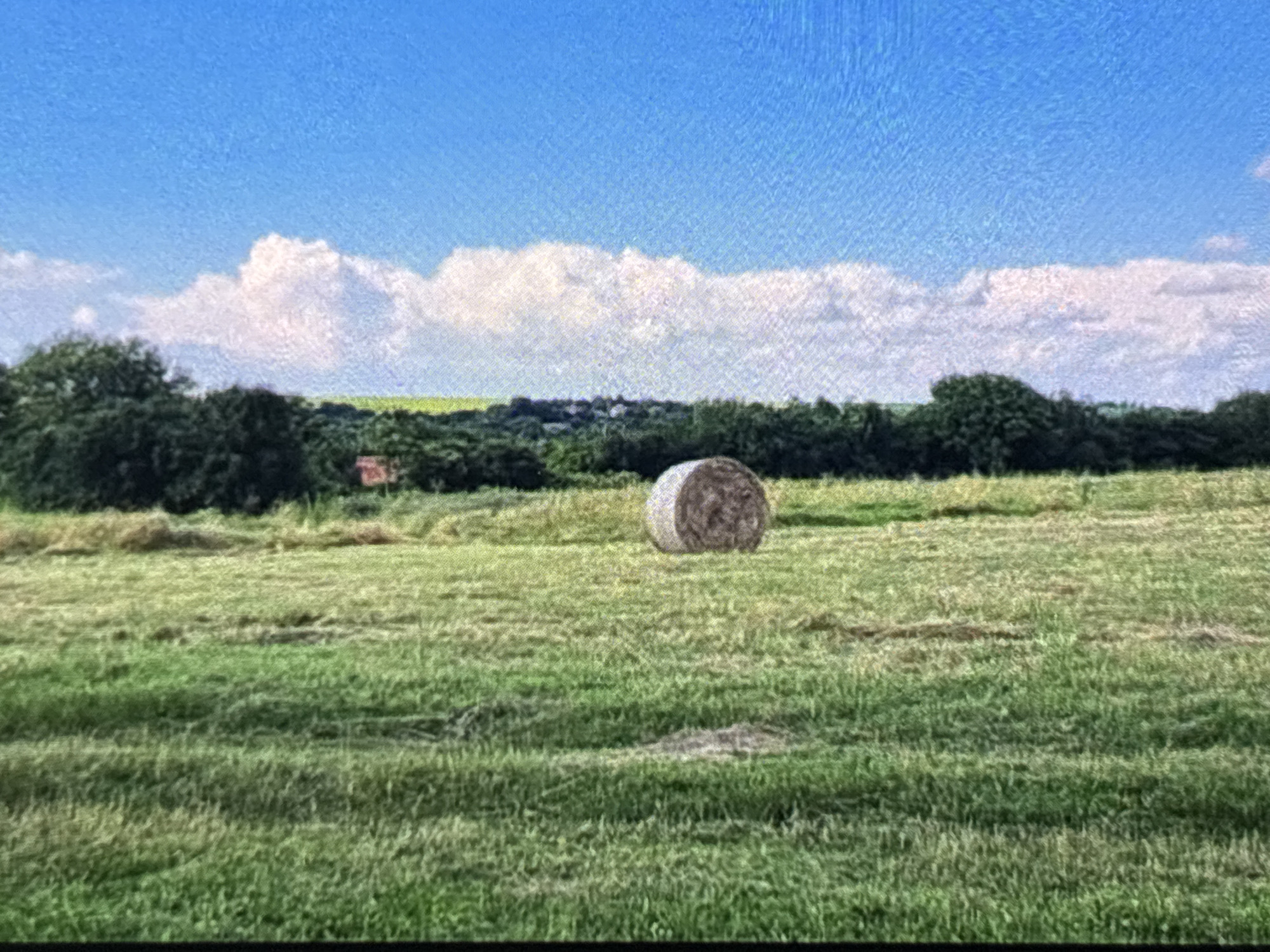 The image presents a peaceful rural landscape, likely near Wolverhampton, United Kingdom, under a bright blue sky with white clouds. The main subject in the middle ground is a large, round hay bale, centrally placed in a field of green grass. The grass in the foreground and middle ground appears recently mown, with visible patterns indicating agricultural activity.
In the background, a dense line of dark green trees and foliage stretches horizontally, forming a natural barrier between the field and the distant horizon. Beyond the tree line, patches of lighter green land and indistinct structures, possibly buildings of a village or hamlet, can be vaguely discerned.
The sky is a vivid, clear blue, occupying the upper third of the image. A band of fluffy, white cumulus clouds extends across the sky, positioned just above the distant tree line. The clouds are well-defined and bright, suggesting sunny weather.
The scene depicts a clear, bright day, likely midday or afternoon, given the strong illumination. The presence of the hay bale indicates that a harvest or cutting of hay has recently occurred. There are no people or explicit human activities visible. No text is present in the image.