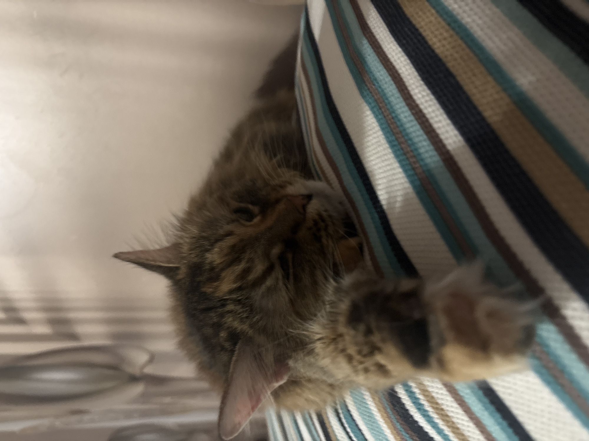 A domestic cat with tabby markings is resting on a striped pillow indoors. The cat is lying on its side with its eyes closed and a paw extended forward. The pillow has horizontal stripes in shades of white, beige, dark blue, and teal. The background is out of focus and appears to be an indoor setting with soft lighting. There are no people or other animals visible in the image. The scene is consistent with a residential setting in the city of Bar, Montenegro, specifically within a home.