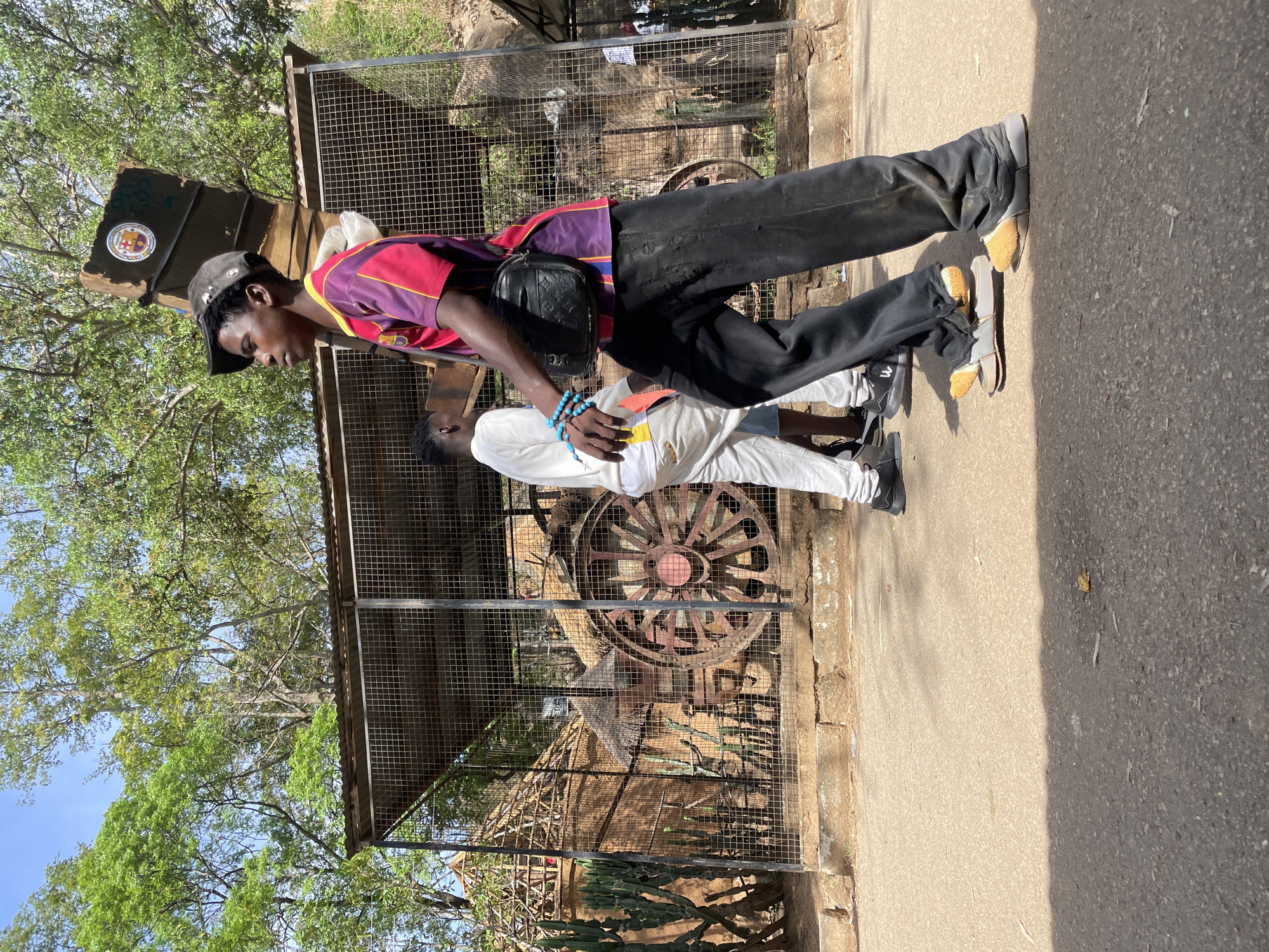 This outdoor image, taken in Jos, Nigeria, features two men standing on a paved surface next to a metal mesh enclosure under bright daylight.
The prominent figure, a taller man, stands towards the center of the frame. He wears a maroon and yellow striped t-shirt, black wide-legged pants, a black baseball cap (worn backward), and light brown slip-on shoes with fuzzy lining. A black fanny pack, bearing a repeating "LV" pattern, is slung across his chest. He is seen looking towards the left side of the frame.
Partially obscured by the taller man is a second, shorter individual, wearing a white long-sleeved shirt, white pants, and black sneakers with a visible "W" logo on the side. Blue beaded bracelets adorn his right wrist. He appears to be looking downwards.
Behind the men is a strong metal mesh fence, forming an enclosure. Inside this enclosure, a large, weathered, reddish-brown wooden wagon wheel is visible, suggesting a rustic or historical exhibit. Some sparse vegetation, possibly cacti, also grows within the fenced area. Above and to the left, lush green trees stand against a clear blue sky. On a dark wooden structure near the taller man's head, a round emblem resembling the FC Barcelona crest is affixed.
The ground where the men stand is a lighter-colored paved path, bordering a darker asphalt road to the right. Strong shadows indicate a sunny day, likely mid-morning or afternoon. The men appear to be stationary, observing their surroundings or simply resting.