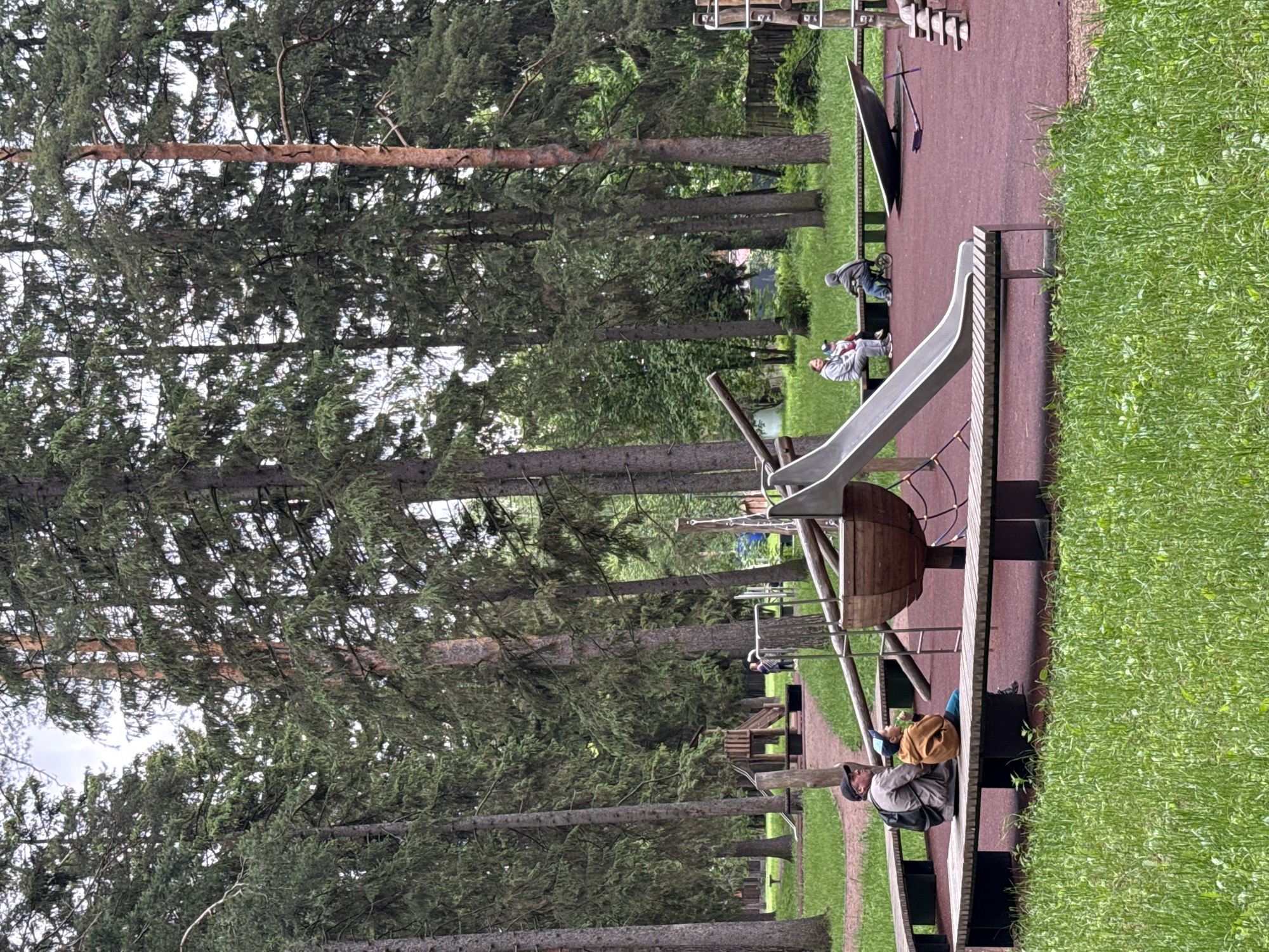 This image captures a playground scene within a dense coniferous forest park in Votkinsk, Russia, on an overcast day. The foreground features a reddish-brown rubberized safety surface, upon which various playground structures are situated.
On a long, curved wooden slatted bench in the foreground, an adult male with a dark baseball cap and a dark backpack is seated to the left of a child wearing a light brown hooded jacket and a blue baseball cap. Both individuals are facing towards the right, with the child bringing their hand to their mouth, possibly eating.
The playground equipment includes a light grey slide with metal rails, descending from a complex wooden structure. Adjacent to the slide is a dark brown, stylized wooden element resembling a boat or large basket. Further right on the rubberized surface, a dark, dish-shaped object is visible, along with a purple, inverted-V shaped bar lying on the ground.
In the mid-ground, another group of three individuals sits on a curved wooden bench. An adult female in a grey hooded sweatshirt is seated next to a young child, and further to their right, another child in a grey hooded top is seated on a small tricycle. This group generally faces towards the left.
The background and perimeter of the playground are dominated by numerous tall, slender coniferous trees with dark green foliage and prominent brown trunks, creating a dense, forest-like atmosphere. A wooden playhouse structure is visible on the grass further back, with additional indistinct figures present in that area. The sky, partially visible through the tree canopy, appears light and overcast.