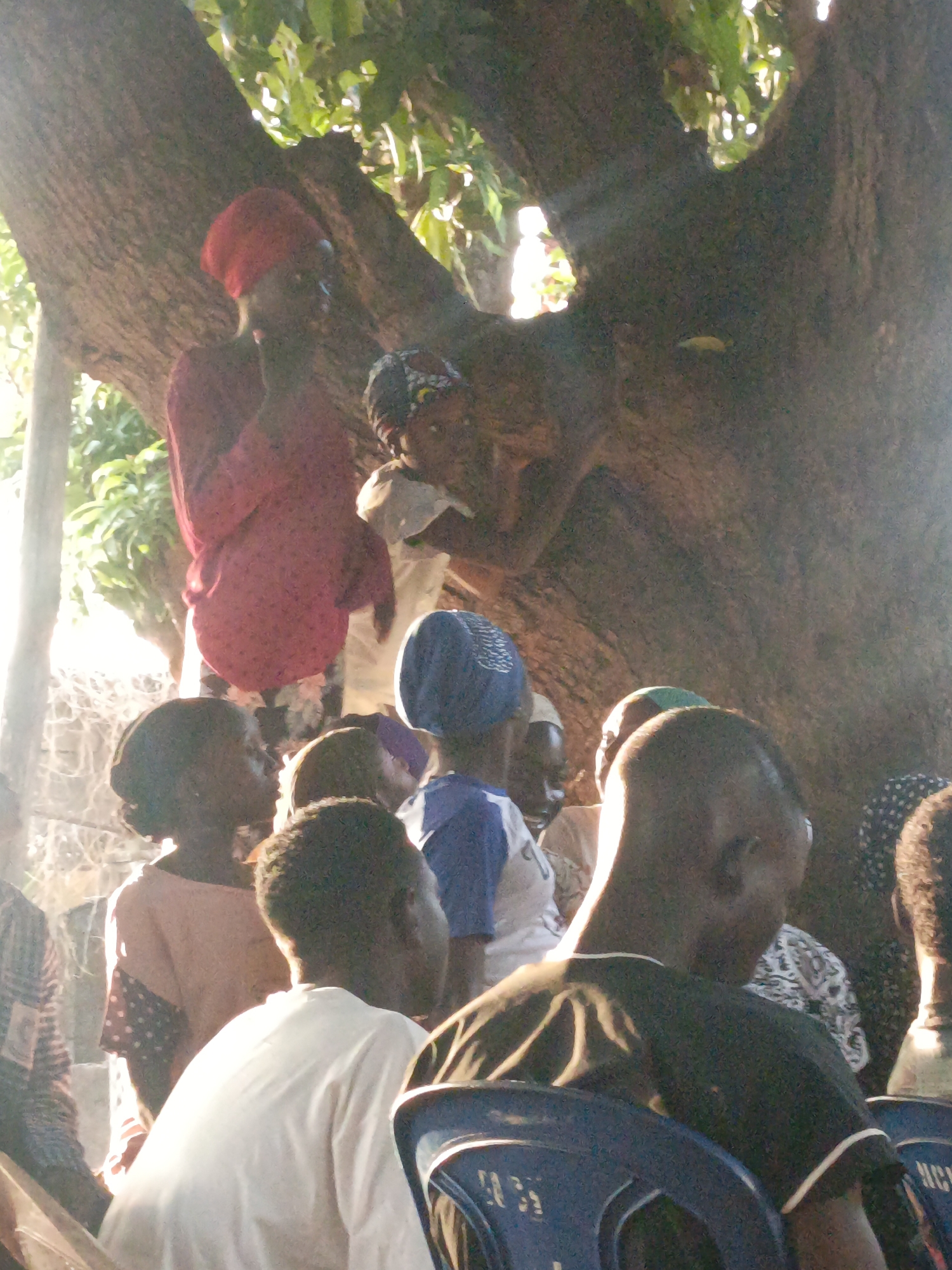 The image shows a group of people gathered under a large tree, likely in a rural area of Akwanga, Nigeria. The faces and expressions of several people are visible. Two individuals are standing in the tree, one wearing a red headscarf and the other a patterned headscarf. Below them, seated in chairs, are several other individuals. Most are dressed casually. The location is outdoors, illuminated by sunlight filtering through the tree's foliage.