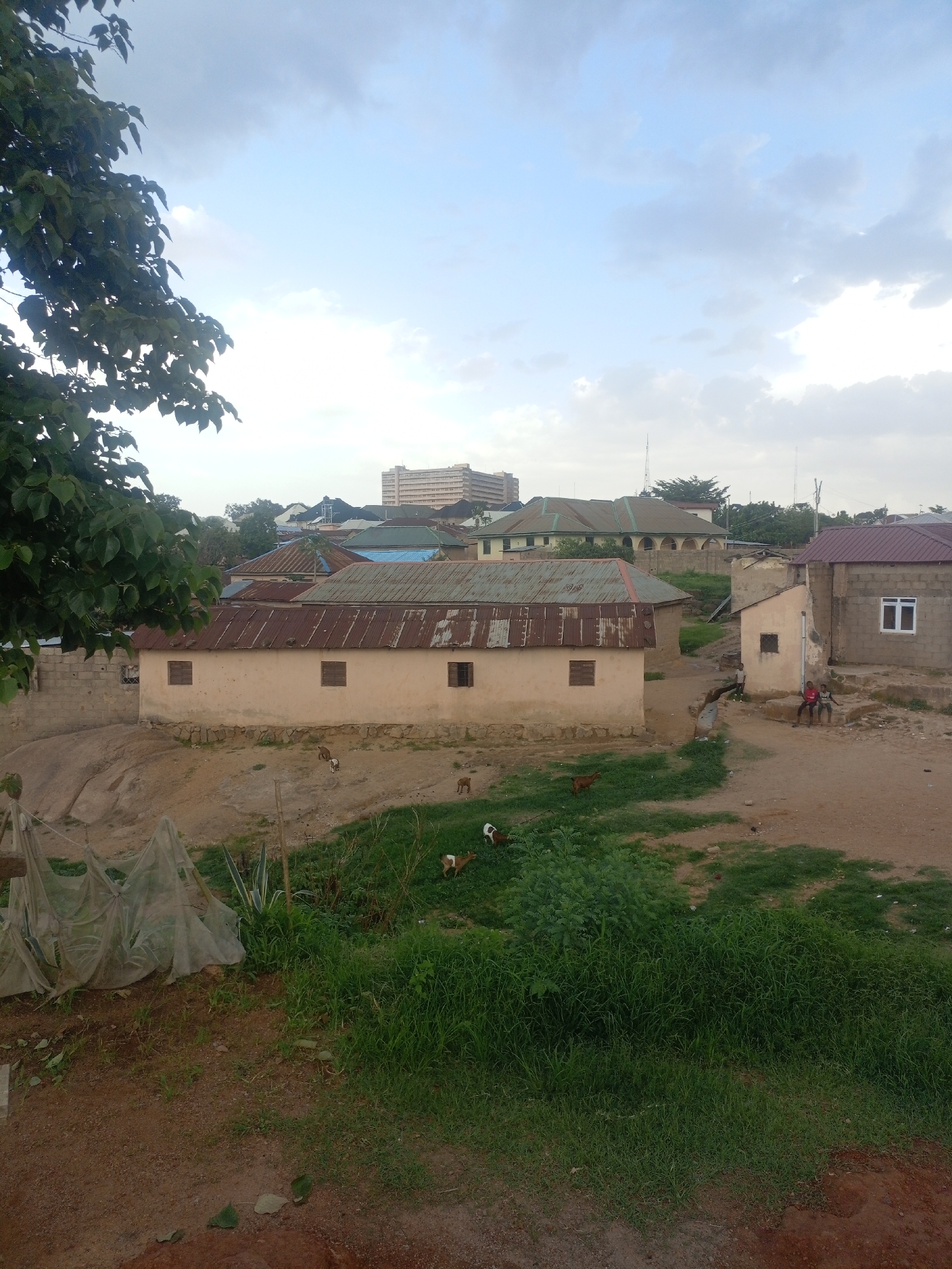 A scene in Jos, Nigeria, captures a mix of residential structures and a developing urban landscape. In the foreground, lush green grass and patchy dry earth dominate, with a large, leafy tree on the left casting a shadow. Several goats are scattered across the ground, some grazing. A few structures with corrugated metal roofs and light-colored walls are visible, some appearing older with weathered roofs, others more recently constructed with stone block walls. A large, pale yellow building with multiple windows and a metal roof stands prominently in the middle ground. In the distance, a cluster of buildings with various colored roofs, including blue and green, suggests a denser neighborhood. Further back, a taller, modern building with many windows stands out against the sky. The sky is a mix of light blue and white clouds, indicating daytime. The scene depicts a typical residential area in Jos, showcasing a blend of traditional and modern architecture, with evidence of rural elements like grazing animals coexisting within the urban environment.