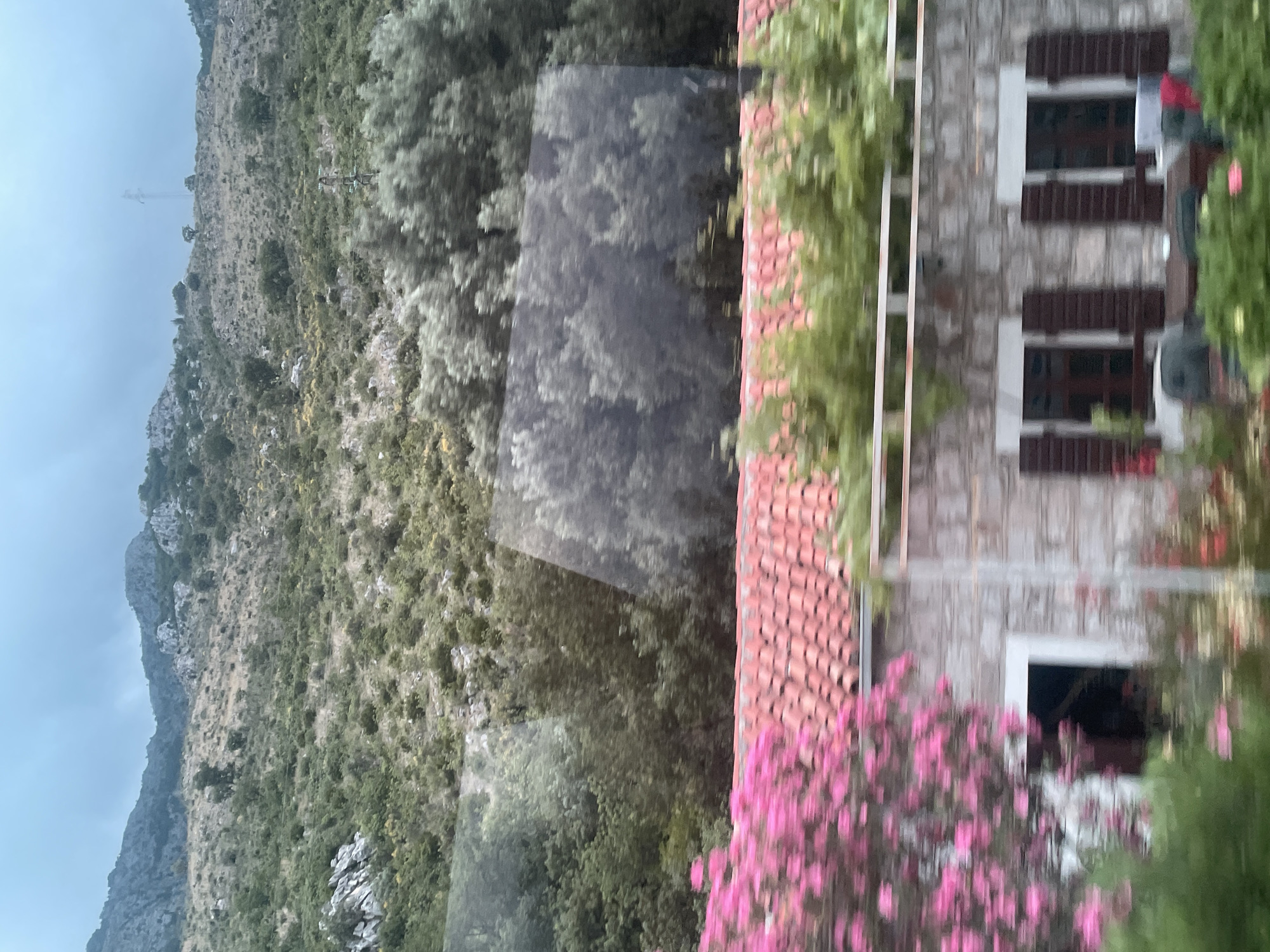 This image, when correctly oriented, presents a vibrant, somewhat hazy landscape view featuring a traditional stone building and a mountainous backdrop, captured through a reflective surface.
In the foreground, a multi-story building constructed of light-colored stone is visible on the right. It features a distinctive red-tiled roof and windows equipped with dark brown wooden shutters. A large, lush bush with abundant bright pink flowers partially obscures the lower section of the building. A prominent, blurry reflection of trees and other indistinct shapes covers the entire image, suggesting the photo was taken through glass, possibly a window of a vehicle or a different building.
The middle ground is dominated by a steep hillside covered in dense green vegetation, including numerous trees and shrubs, interspersed with patches of rocky terrain and drier, lighter-colored grasses. Thin, indistinct lines, potentially power lines or cables, can be seen stretching across the hillside.
Further in the background, a rugged mountain range extends across the frame under an overcast or hazy sky. Towards the upper left portion of the distant hillside, a tall, slender structure resembling a communication mast or power tower is discernible.
The scene appears to be set during daytime, with soft, diffused lighting indicating an overcast sky or possibly an early morning/late afternoon period. The architecture and flora suggest a Mediterranean or similar mountainous region. No people or visible text are present in the image. The reflection adds a dynamic and somewhat obscured quality to the otherwise scenic landscape.