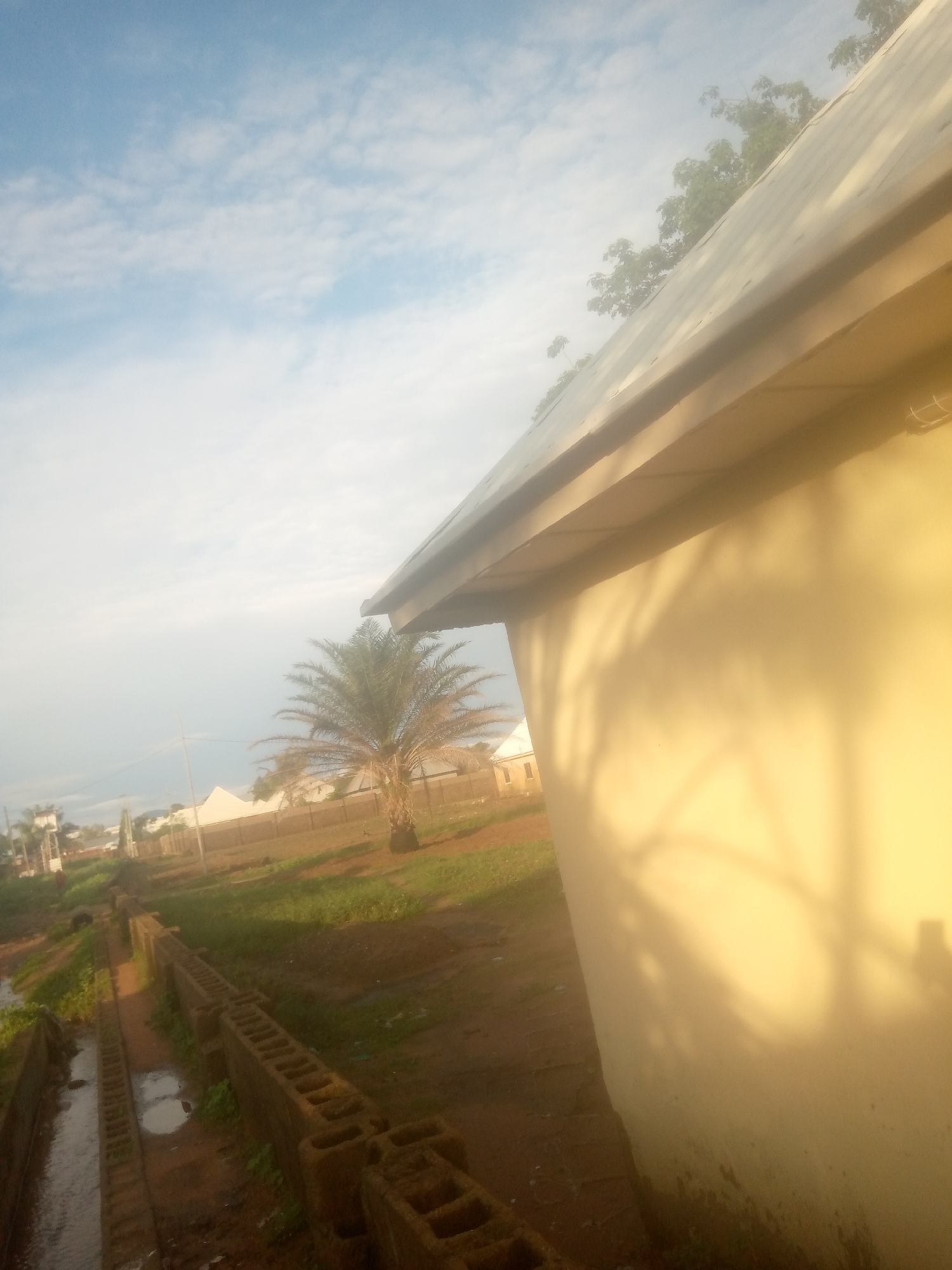 This image depicts an outdoor scene in a semi-urban or developing area of Jalingo, Nigeria. The foreground and mid-ground on the right are dominated by the light-colored, possibly cream or light yellow, exterior wall of a building. A dark roof overhang with a gutter is visible along the top edge of this wall. Distinct shadows of tree branches are cast across the building's surface, indicating a low sun angle.
In the center-left mid-ground, a single palm tree, resembling a date palm, stands on reddish-brown soil. The ground surrounding it shows patches of green grass and exposed earth. To the far left, an open, structured drainage ditch, appearing to be lined with concrete or brick, contains water and recedes into the background. Adjacent to this ditch, several rows of hollow concrete blocks are stacked on the ground.
The background features additional structures including a building with a white roof, a dark fence line, and in the distant left, a water tower and other indistinct buildings. The sky above is light blue with scattered white cumulus clouds. No individuals or animals are clearly discernible. The overall lighting suggests either early morning or late afternoon.