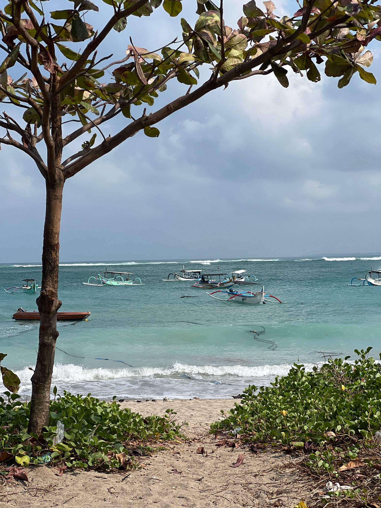 This image depicts a serene beach scene in Kuta, Indonesia, with a focus on the ocean and several traditional fishing boats. In the foreground, a rough-textured tree trunk stands to the left, its branches extending upwards and framing the view. The ground beneath the tree is sandy, with scattered leaves and some visible litter, including a plastic bag. Lush green vegetation grows along the edge of the sand.
The turquoise ocean dominates the midground and background, with gentle waves rolling towards the shore. Several boats, likely outriggers characteristic of Indonesian fishing vessels, are scattered across the water. Some of these boats are a light green color, while others feature white hulls and colorful accents. One boat in the foreground appears to be a darker brown, and another is a smaller dinghy with an outboard motor. In the distance, a line of white surf breaks on a shallow reef or sandbar, and the horizon is met by a hazy sky with scattered clouds. The overall impression is one of a peaceful coastal environment.