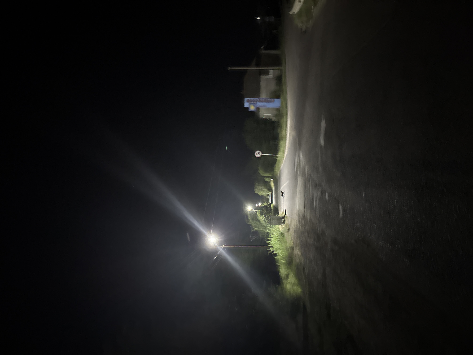 This is a night-time, outdoor, street-level photograph taken in Basarabeasca, Moldova. The scene depicts a paved road illuminated by streetlights. A single black animal, possibly a dog, is visible walking on the road in the middle distance. To the right of the road, there is a small building with a blue sign displaying text. A circular traffic sign with the number '5' is also present on the left side of the road. Trees and vegetation line the sides of the road. The sky is dark and clear. The overall atmosphere is quiet and somewhat isolated.
