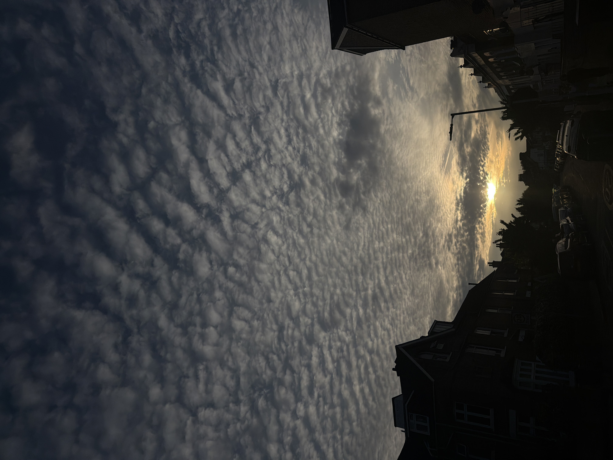 The image is a street-level photograph oriented sideways, showing a sky full of altocumulus clouds during sunset. The setting sun is obscured by clouds and trees on the right side of the image. Silhouetted buildings line the right and bottom edges of the frame, and a street lamp is visible on the right. Several parked cars are also on the right. The location is likely a residential street in London based on the architecture of the buildings and the presence of street parking. No people are visible.