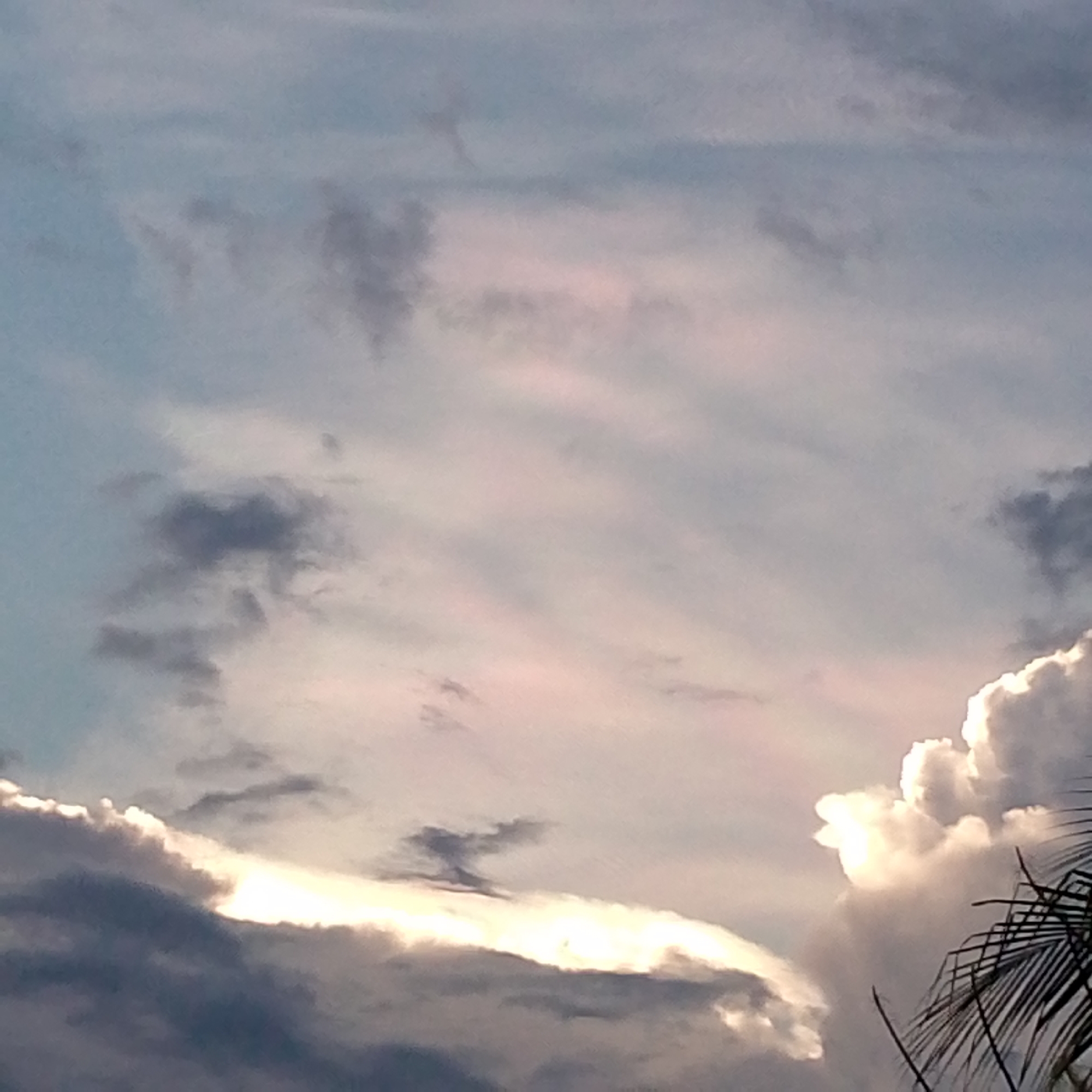 The image captures a partly cloudy sky in Lhokseumawe, Indonesia. The clouds are a mix of light gray and white, with some darker gray patches. Sunlight is filtering through the clouds, creating a soft, diffused light. In the lower right corner, there are palm fronds visible, suggesting a tropical environment. The sky itself dominates the frame, hinting at an open space.
