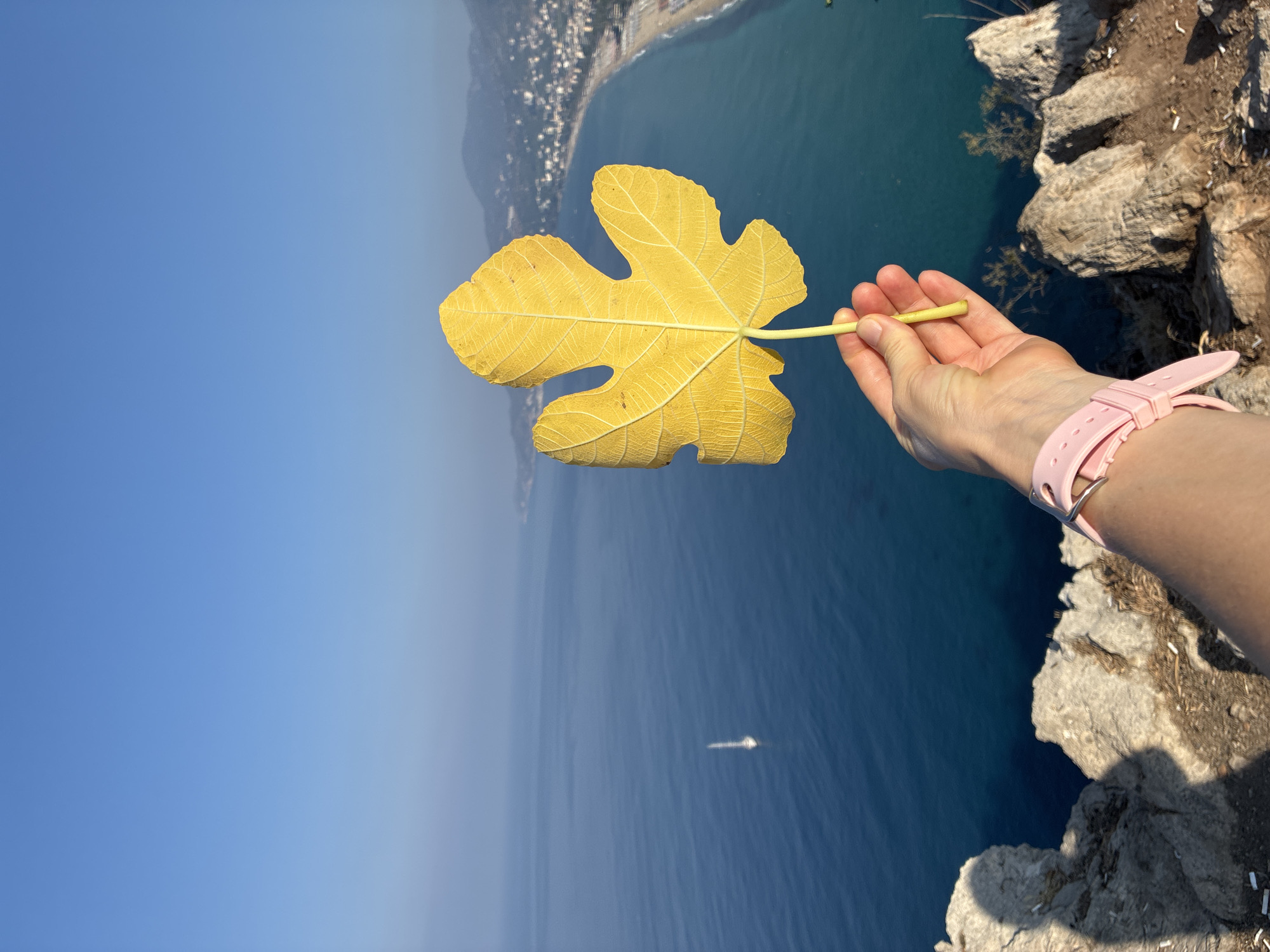 A person's hand, wearing a pink smartwatch, holds a yellow leaf against a backdrop of the deep blue Mediterranean Sea, the coastline of Alanya, Turkey, and a clear sky. The sea stretches out to the horizon, with a white sailboat visible in the distance. The coastline features a beach, buildings, and hills. The foreground shows rocky terrain, suggesting a high vantage point. The overall scene evokes a sense of travel and appreciation for nature.