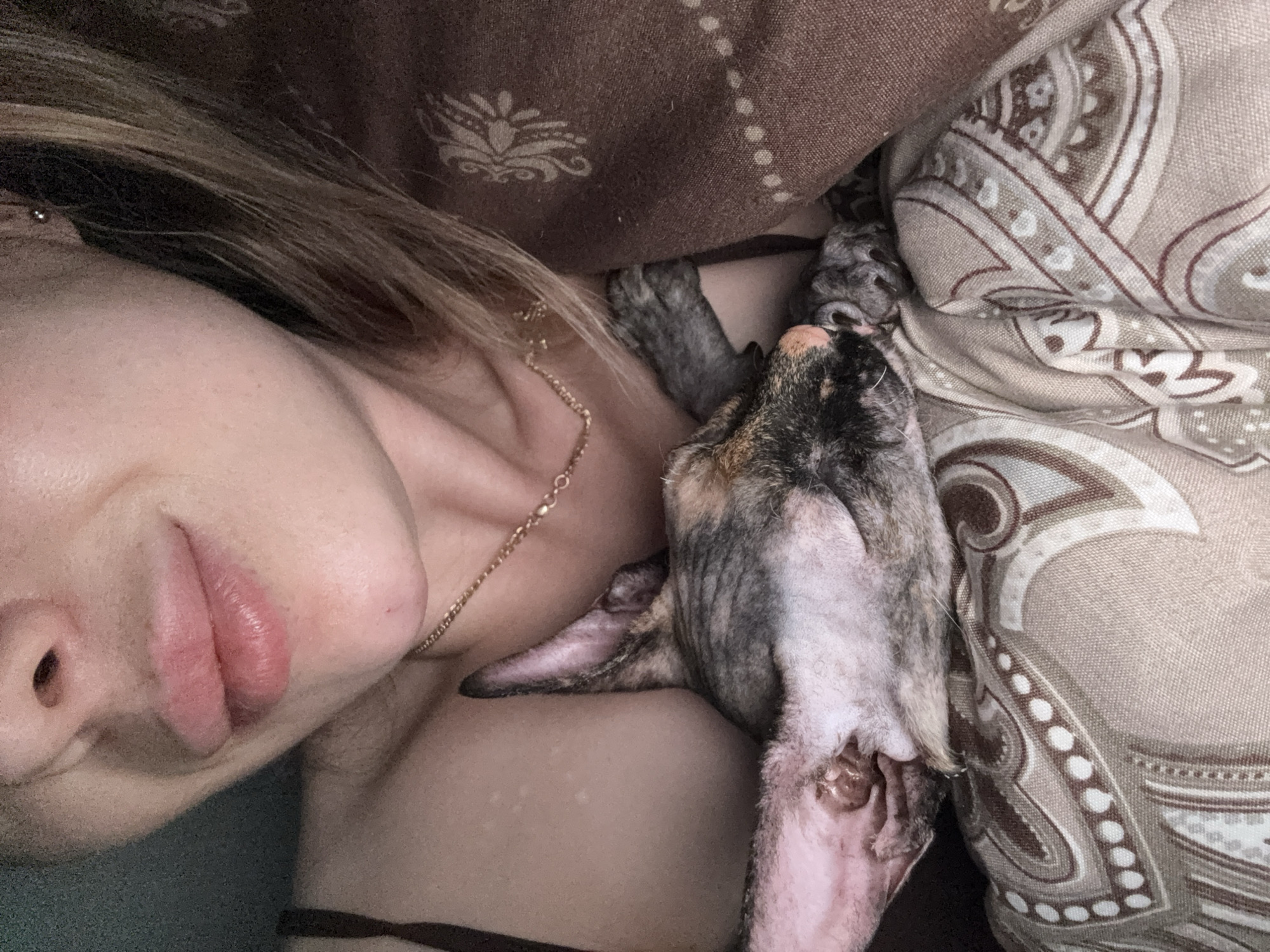 A close-up shot displays a person's face and the upper body of a cat nestled near their neck. The person is lying down with their head tilted, visible only from their nose and lips up. A thin gold chain necklace is present around their neck. The cat, likely a calico or tortoiseshell mix, is positioned on its back against the person's chest. Its legs are sprawled outwards. Bedding with patterned fabric is present in the background, including brown and beige colors.