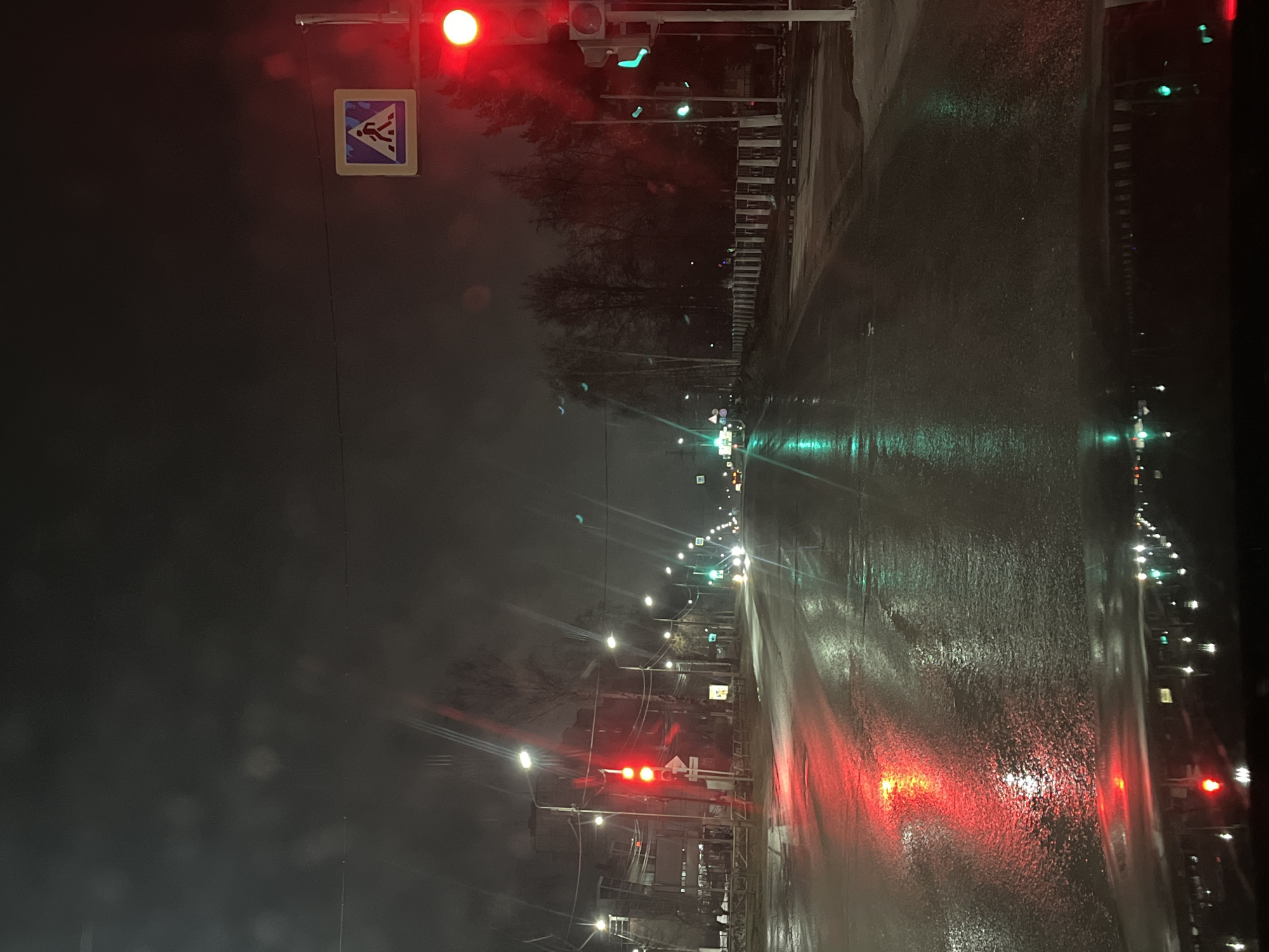 The image depicts a street scene at night in Chaikovsky, Russia. The road is wet, reflecting the lights of vehicles and street lamps. Traffic lights are visible, showing red lights. There is a pedestrian crossing sign. The scene is viewed from within a vehicle, with possible rain on the windshield. The surrounding environment consists of buildings, trees, and street lighting.
