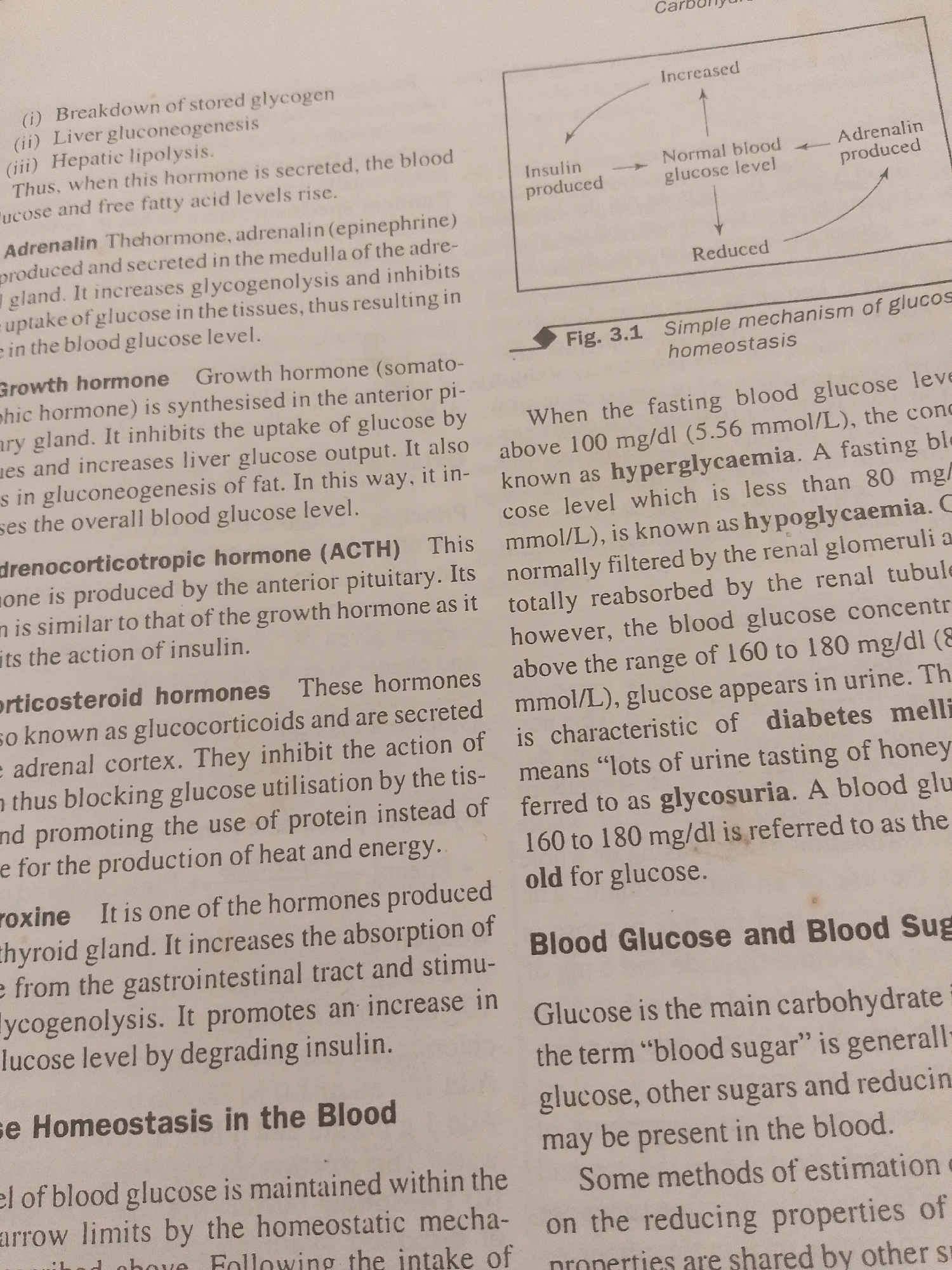 This media file is a close-up photograph of an open textbook page. The page features printed text and a small diagram. The text is in English and discusses biological concepts related to hormones and blood glucose homeostasis.
The main subjects are the textbook page itself, which is an object, and the printed text and diagram on it. There are no people, scenes, or settings depicted, other than the implied setting of a place where a textbook is being used.
The activity or event taking place is the display of information from a textbook. The diagram, labeled "Fig. 3.1 Simple mechanism of glucose homeostasis," illustrates the interplay between insulin, adrenaline, and blood glucose levels.
Notable details include the specific hormones mentioned, such as Adrenalin, Growth hormone, Adrenocorticotropic hormone (ACTH), Corticosteroid hormones, and Thyroxine. The text also defines terms like hyperglycemia, hypoglycemia, and glycosuria, and discusses the role of glucose in the body. The diagram shows arrows indicating how insulin production leads to a reduced blood glucose level, and adrenaline production leads to an increased blood glucose level, both of which then tend to return to a normal level.
Visible text includes headings like "Blood Glucose and Blood Sug", and numerous paragraphs explaining the physiological processes. The text uses scientific terminology and quantitative measures (e.g., mg/dl, mmol/L) to describe blood glucose levels and hormonal effects. There are no indications of time of day, weather, or emotions. The location context of Jalingo, Nigeria, is not directly evident from the image itself but is provided as external information.