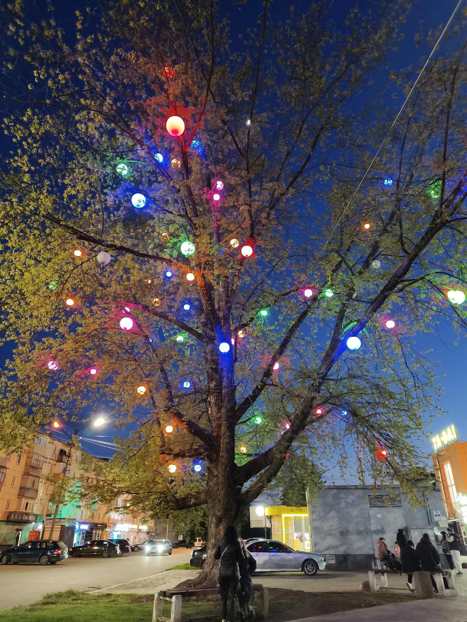 The image presents a vibrant evening street scene in Kryvyi Rih, Ukraine, centered around a large deciduous tree brightly adorned with numerous multi-colored spherical lights. The sky is a deep twilight blue, with a faint crescent moon visible in the upper left.
The prominent tree, still bearing light green leaves, is strung with dozens of decorative globe lights in various hues including red, orange, yellow, green, blue, pink, and white. These lights create a festive atmosphere, illuminating the branches and leaves against the darkening sky.
In the foreground, a person stands with their back to the viewer, facing the street. To the right, a group of individuals is seated on a public bench, while other people are scattered further down the street, either walking or standing. The street itself is active with several cars, some parked along the curb and others driving, their headlights and taillights visible.
The background features a row of multi-story urban buildings with illuminated storefronts, suggesting commercial establishments. On the far right, a distinctive orange building displays the Cyrillic text "ТА-ДА!" (TA-DA!). Closer to the tree, a smaller, bright yellow building is visible. Streetlights also cast their glow, adding to the overall illumination of the scene.
The image captures a bustling yet serene urban environment at dusk, with the decorative tree lights serving as a focal point, imbuing the setting with a cheerful and inviting ambiance. The clear sky suggests fair weather.