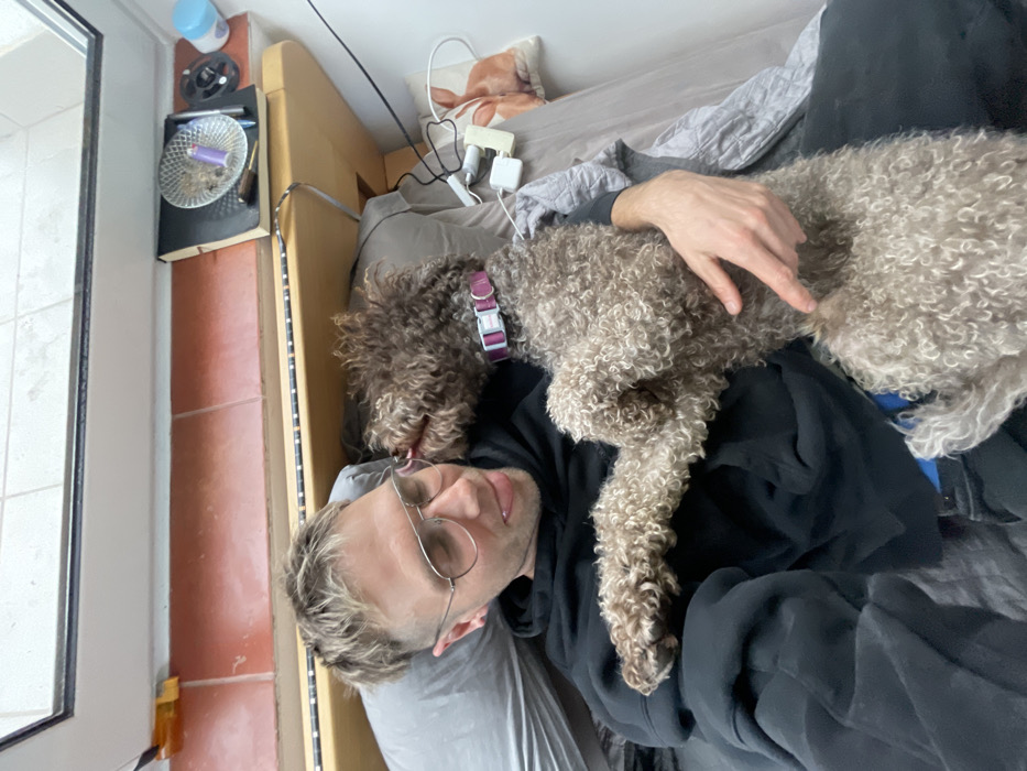 In a room within the city of Budva, Montenegro, an adult male with short blond hair and eyeglasses, wearing a black hooded sweatshirt, is depicted lying on a bed with a grey pillow. A medium-sized, curly-haired dog, light brown/beige in color and wearing a purple collar, stands on its hind legs on the bed, its front paws resting on the man's chest/shoulder area. The dog is actively licking the man's right cheek. The man's tongue is slightly extended, and his right arm is wrapped around the dog. The bed features a wooden headboard with an LED light strip attached underneath. To the right of the man, on a wooden surface, are various objects including charging cables, a power strip, a pillow with a dog's face print, a dark-colored notebook, a glass ashtray containing cigarette butts and a purple vape pen, a roll of black tape, and a small light blue container. Above the wooden surface, a tiled ledge with orange-brown square tiles is visible.