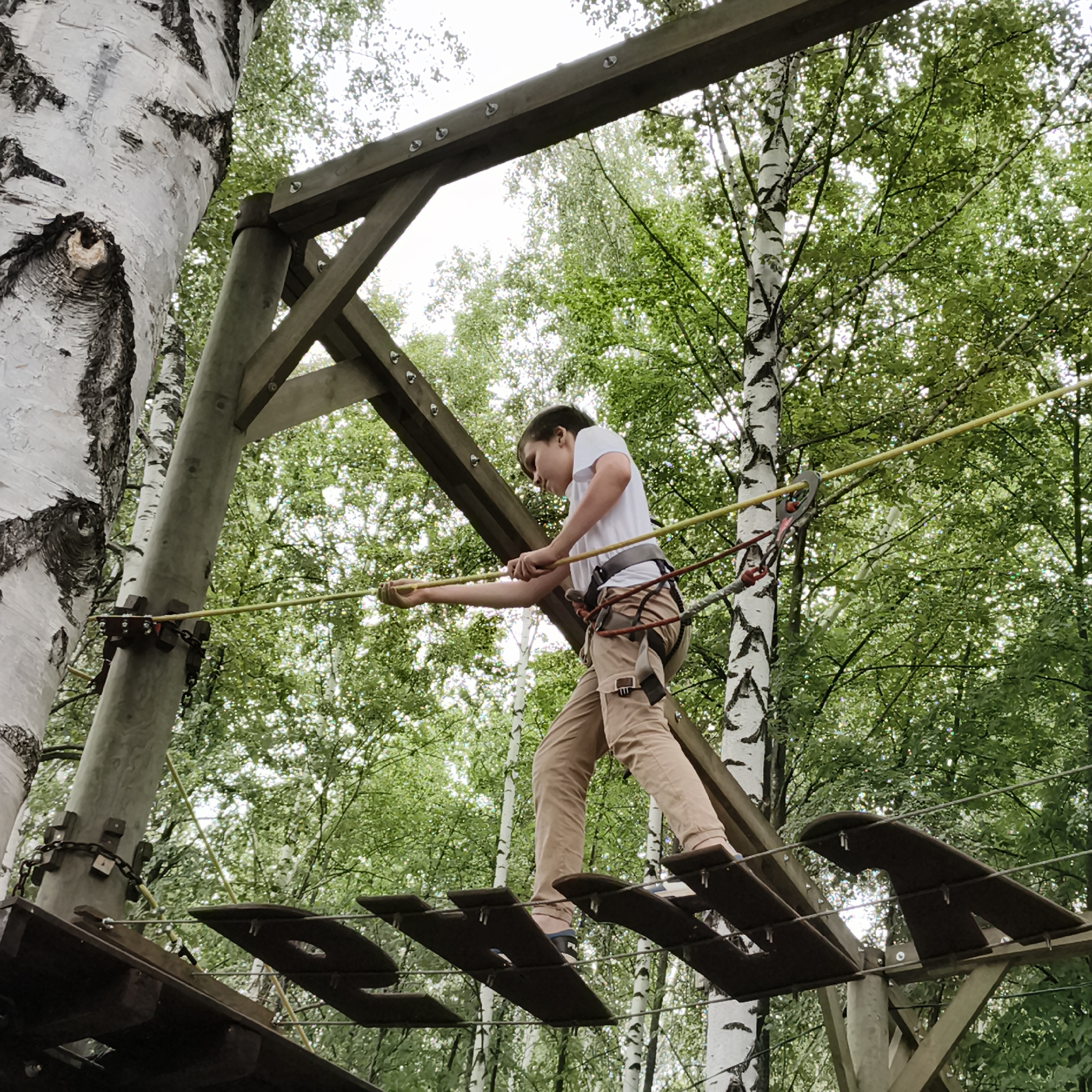 A young person is navigating a high ropes course in a park, likely in Chaikovsky, Russia, judging by the distinctive birch trees. The individual, dressed in a white t-shirt and tan pants, is secured by a harness and lanyard, traversing a suspended wooden walkway made of planks. They are reaching out to grasp a yellow safety rope. The course is constructed with wooden beams and posts, integrated into the natural environment of the forest, with birch trees surrounding the area. The lighting suggests an overcast day.