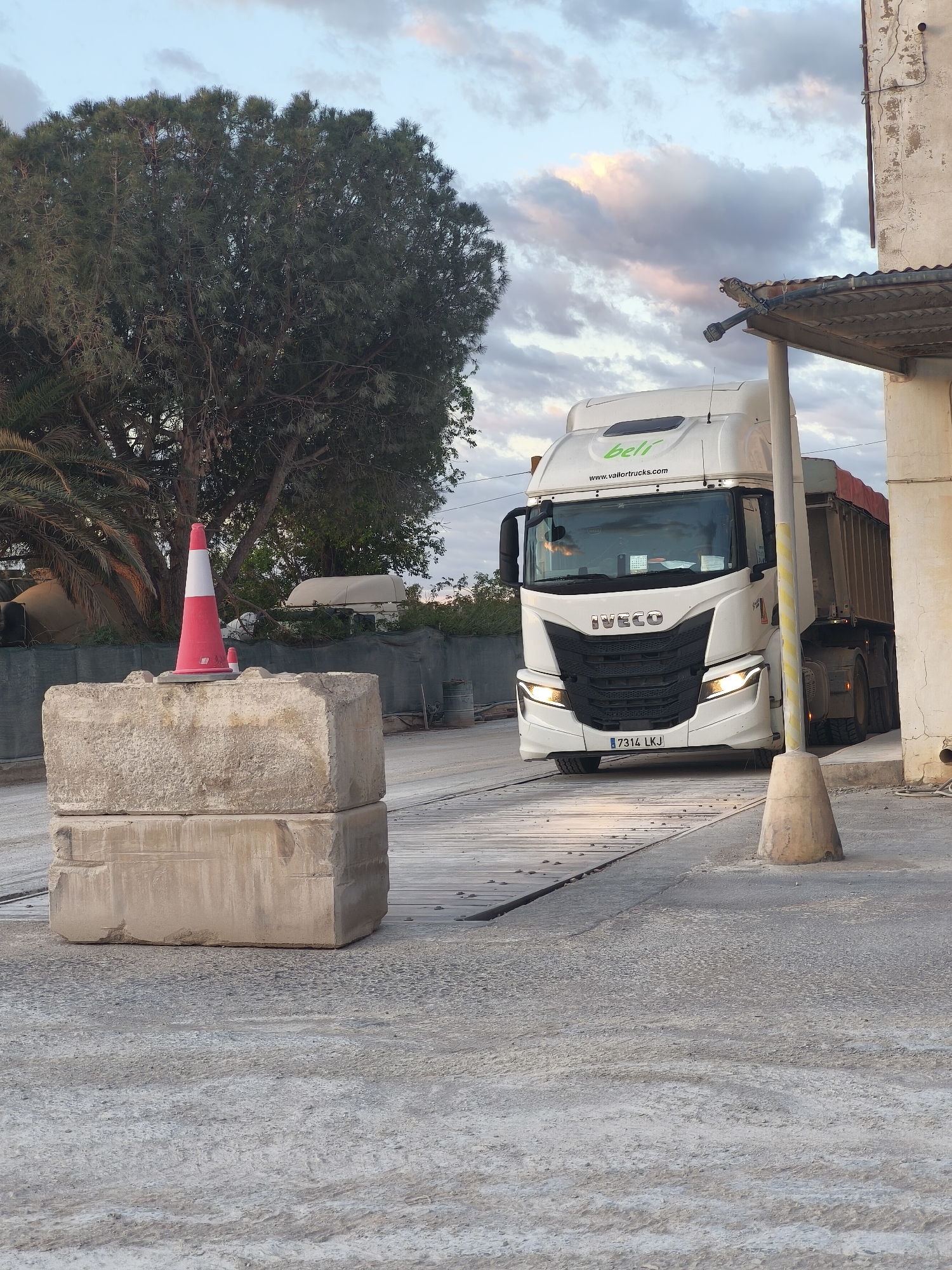 A white Iveco semi-truck is driving forward toward the viewer. The truck is labeled "Beli" on the front. The license plate is "7314 LKJ". The truck is on a platform scale made of parallel wooden beams, and it is driving under an awning attached to a building on the right side of the image. A square concrete block with a red and white traffic cone on top is on the left side of the image. A tree and shrubs are also visible on the left side of the image. The sky is blue with light clouds. The location is Bétera, Spain.