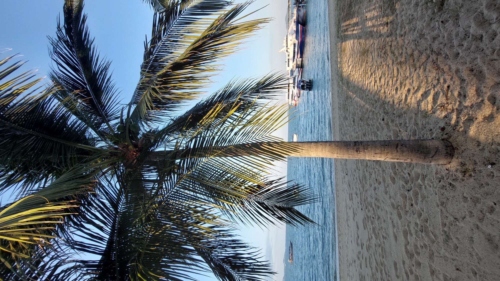 The image depicts a coastal scene in Baan Mae Nam, Thailand, featuring a palm tree on a sandy beach. The palm tree dominates the left side of the frame, with its trunk extending upwards and its fronds reaching across the blue sky. The beach extends to the right, displaying varied textures of sand and shadows. The blue sea is visible beyond the beach, with distant boats anchored in the water. The light suggests it is either morning or late afternoon.