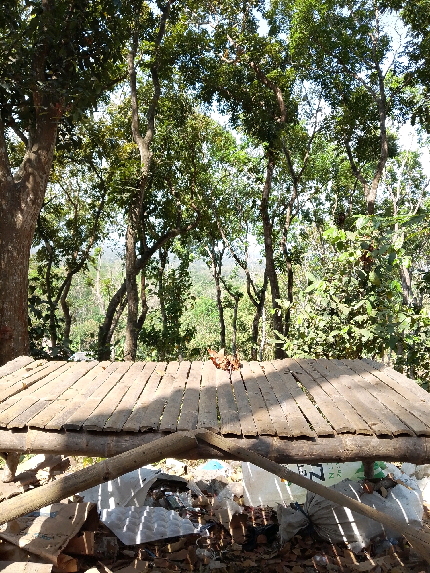 The image depicts an outdoor scene, likely in a rural or natural setting, with a focus on a rustic, wooden structure in the foreground. The structure appears to be a table or platform made of bamboo or similar natural materials, with gaps between the slats. Beneath this structure, there is a visible collection of debris, including what looks like discarded packaging, bags, and possibly building materials.
Behind the wooden structure, a dense forest of trees with lush green foliage dominates the background. Sunlight filters through the leaves, casting dappled shadows. In the distance, a landscape with rolling hills and more vegetation can be seen, suggesting a somewhat elevated vantage point. The overall impression is one of a somewhat unkempt, yet natural environment. There are no people visible in the image. The location is identified as Pagak, Indonesia, which is a district in the Malang Regency of East Java province.