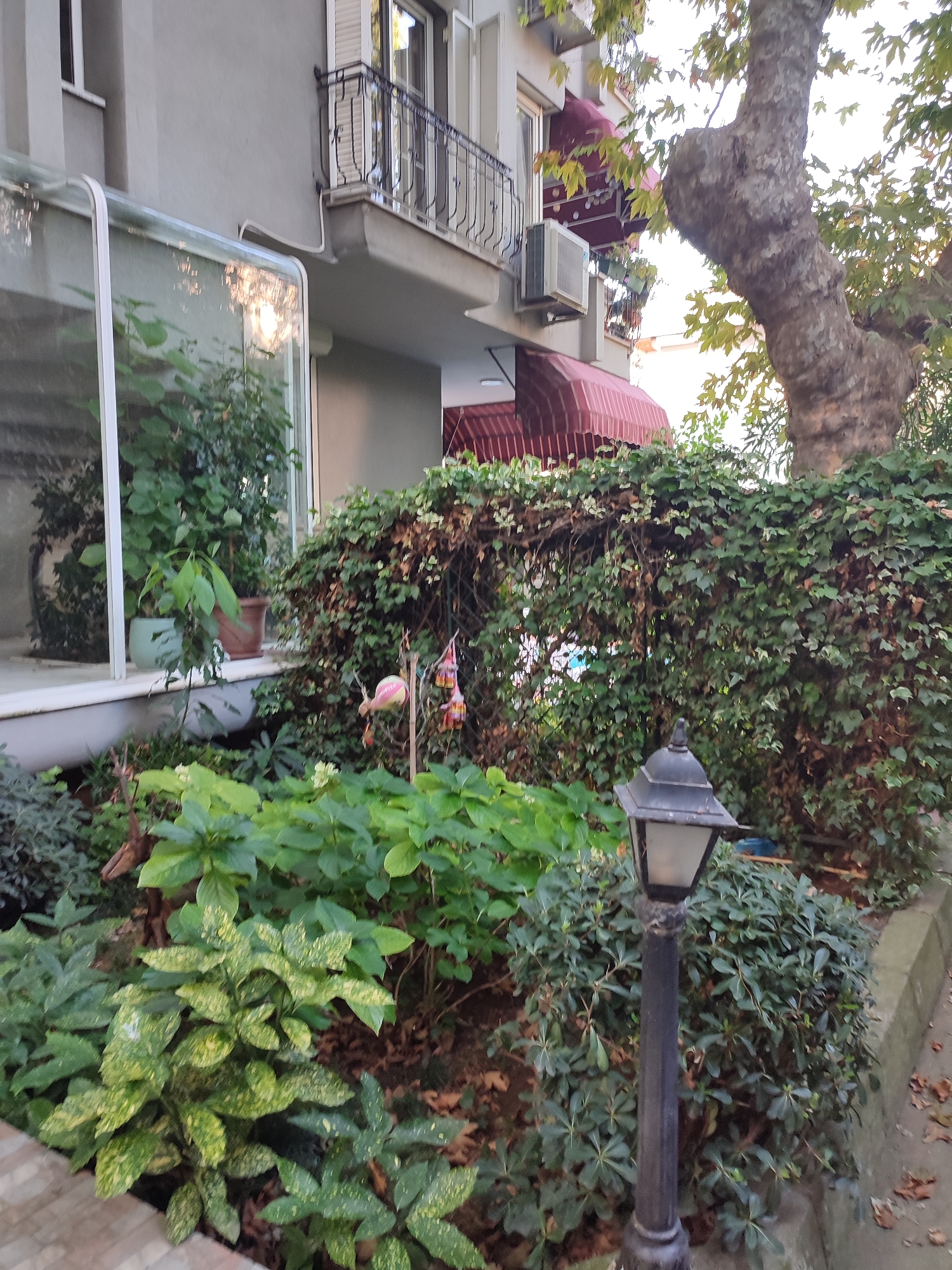 The image depicts a residential building's facade with a garden in the foreground. The building features a gray exterior, a balcony with black railings, and two red awnings. An air conditioning unit is visible on the wall. A large tree with a textured trunk stands to the right, partially obscuring the upper portion of the building. The garden is lush and overgrown, with various plants, including ivy covering a fence, and spotted foliage in the foreground. A black lamppost stands prominently in the garden. The scene is set in a city environment, likely Kadıköy, Turkey, given the architectural style and vegetation. There are no people visible in the image.