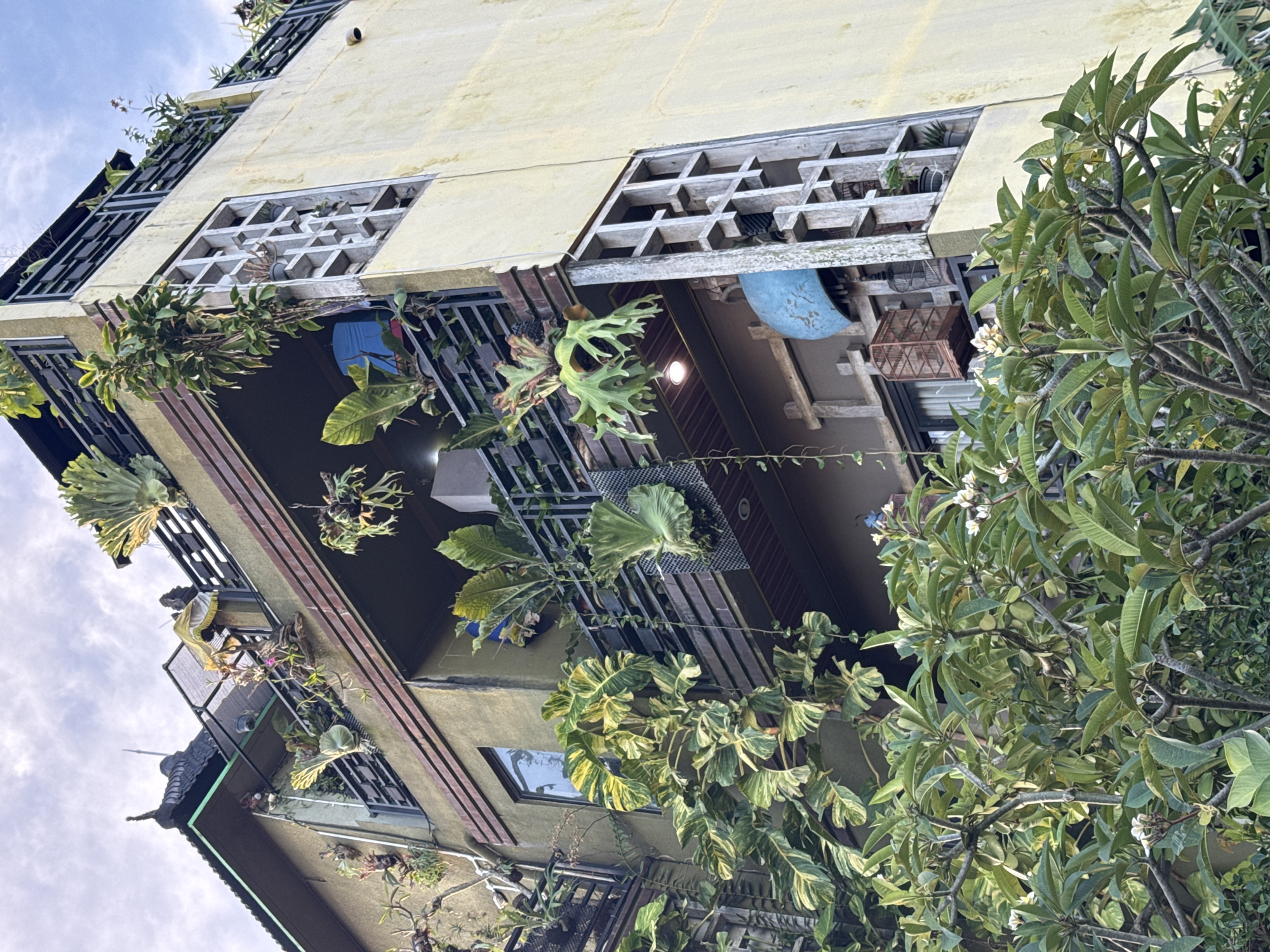 From a low angle, the image depicts a multi-story building in Kuta Selatan, Indonesia, heavily adorned with plants. The building has a light yellow upper facade with decorative lattice-like window screens. Below, a dark green section is visible, punctuated by windows and brown horizontal trim. Many potted plants, including staghorn ferns, hang from balconies and ledges. A large, leafy tree occupies the right side of the frame, partially obscuring the building. The sky, visible in the background, is slightly overcast. No people are visible.