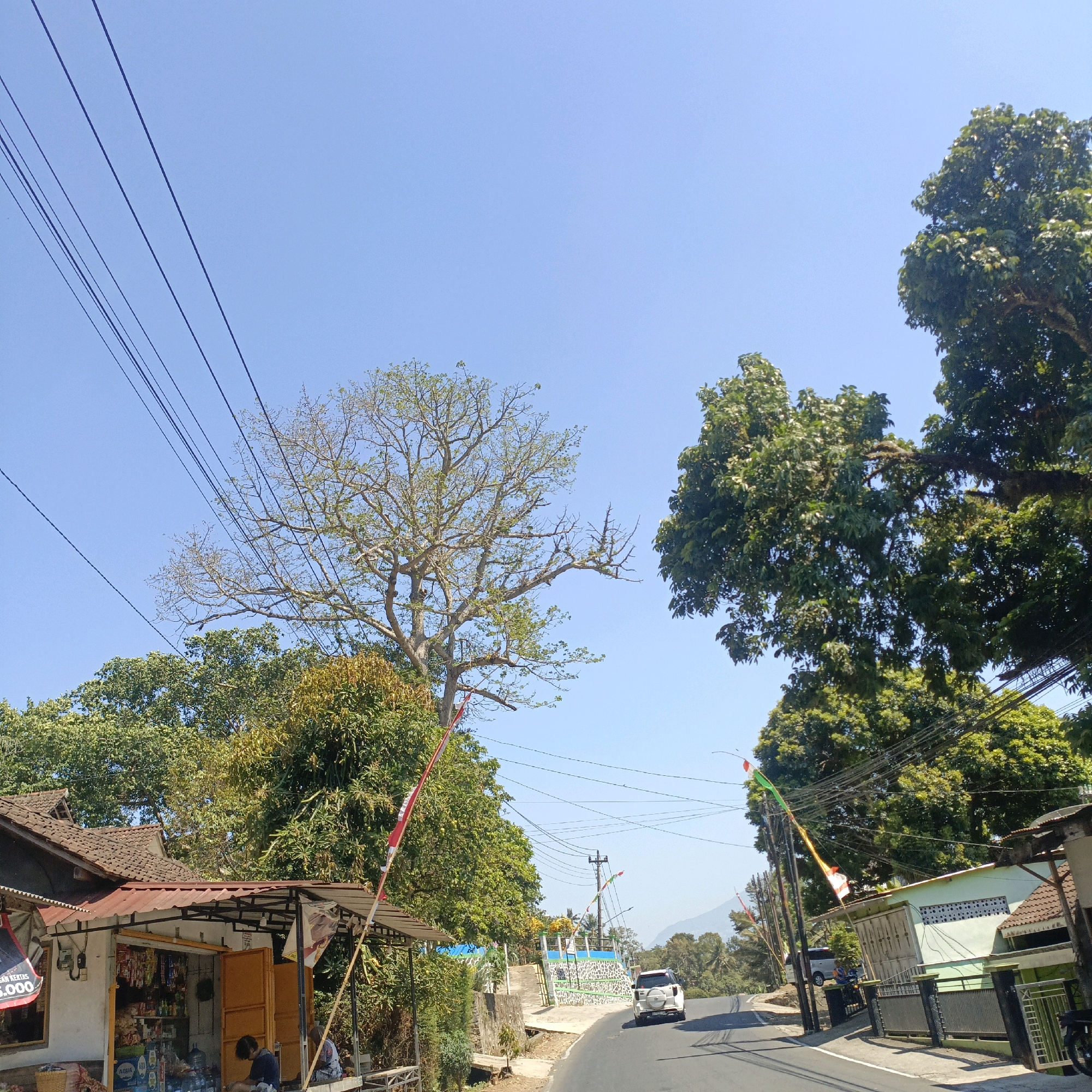 The image depicts a roadside scene in Kebondowo, Indonesia, under a clear blue sky. In the foreground, a small shop with a red awning displays various goods, including bottled water and snacks. Two individuals are seated outside the shop, one appearing to be interacting with items on the counter. A paved road curves through the scene, with a white SUV driving away from the viewer. The roadside is lined with trees, some with dense green foliage, and others with sparser branches, suggesting seasonal changes. Several utility poles with numerous wires are visible, along with small Indonesian flags adorning some of the poles and a building. In the background, a mountainous landscape is faintly visible. The overall impression is of a rural or semi-rural setting.