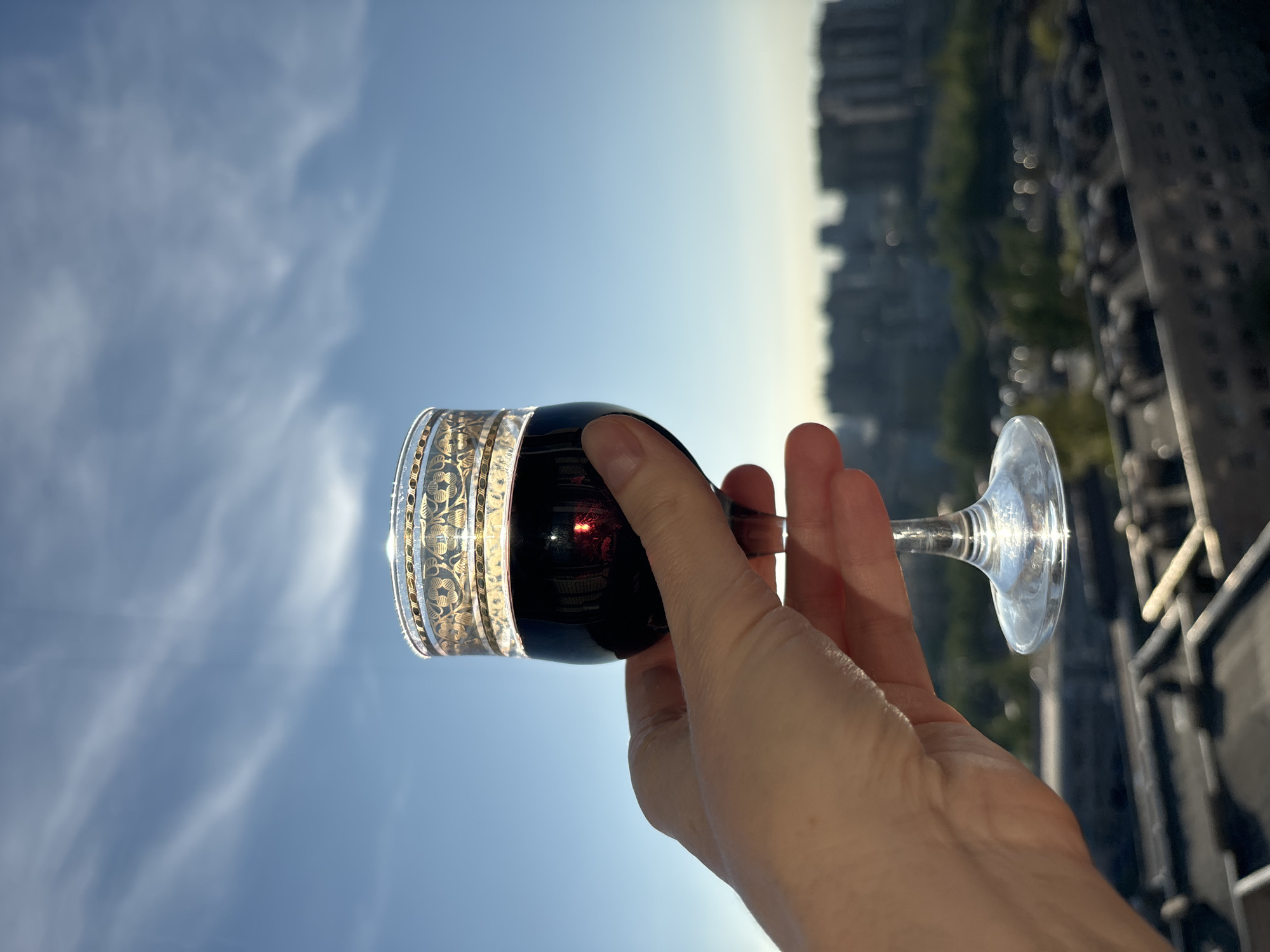 A hand holds a decorative glass of red wine up to the light with a blue sky and clouds in the background on the left and buildings in the background on the right in Unknown, Unknown. The glass is clear with a gold floral design around the rim. The building on the right has a mix of light and dark areas, with some green trees visible.