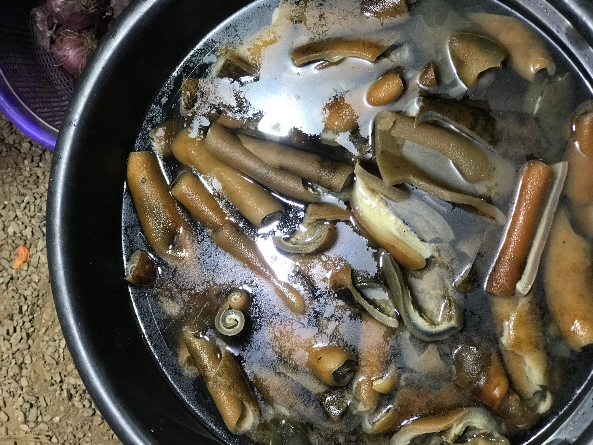 A close-up, high-angle shot captures a black plastic basin filled with water, soaking numerous pieces of light brown, irregularly shaped organic material. This material, which appears to be processed cow skin (pomo or kanda), varies in form; some pieces are flat, others are curled, and some are rolled into cylindrical shapes. A whitish film or residue is visible on the surface of the water.
In the upper-left background, a purple plastic mesh basket holds several reddish-purple onions, suggesting culinary preparation. The ground beneath the basin and basket is unpaved, covered with small, light-colored gravel or stones.
The scene depicts food preparation, likely the soaking and cleaning of cow skin, a common ingredient in Nigerian cuisine, before it is cooked. The setting appears to be an informal outdoor or semi-outdoor area, consistent with a domestic or local market food preparation space in Abuja, Nigeria. There are no people visible, no discernible time of day or specific weather conditions, and no visible text.