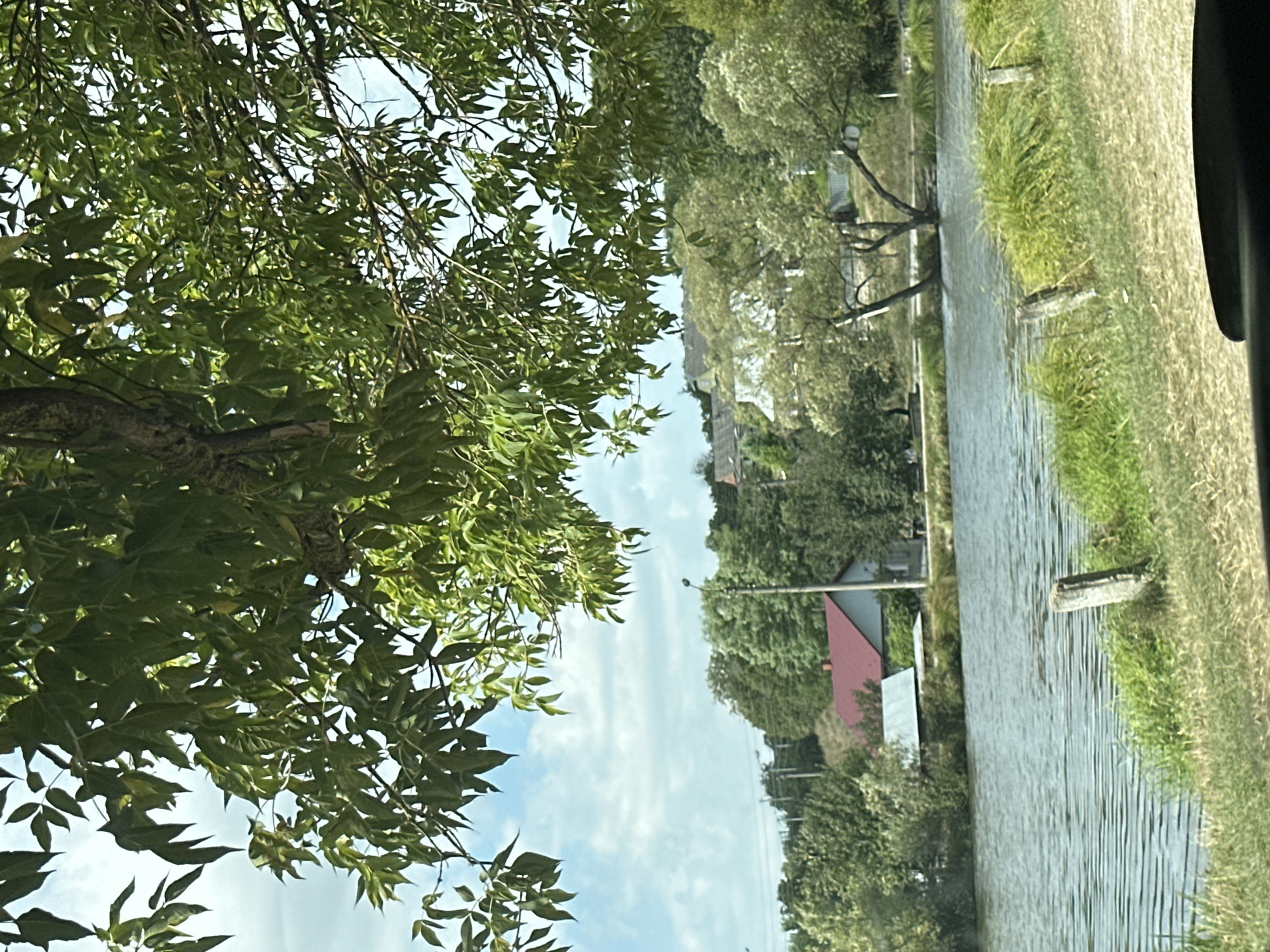 The image depicts a tranquil waterscape with a body of water in the foreground, reflecting the overcast sky. The water's surface is rippled, suggesting a gentle breeze. Along the bank, tall green grasses and some scattered weathered wooden posts are visible.
In the middle ground, a small settlement is nestled amongst lush green trees. Several houses are apparent, one with a distinctive red roof, another with a lighter colored roof. The architecture suggests a rural or semi-rural setting. The trees are dense, creating a sense of natural abundance.
In the background, more trees and gently rolling hills rise, hinting at the broader landscape of Makiv, Ukraine. The sky is partly cloudy with a mix of white clouds and patches of blue. The overall atmosphere of the image is one of peace and natural beauty. There are no people or animals visible in the scene.