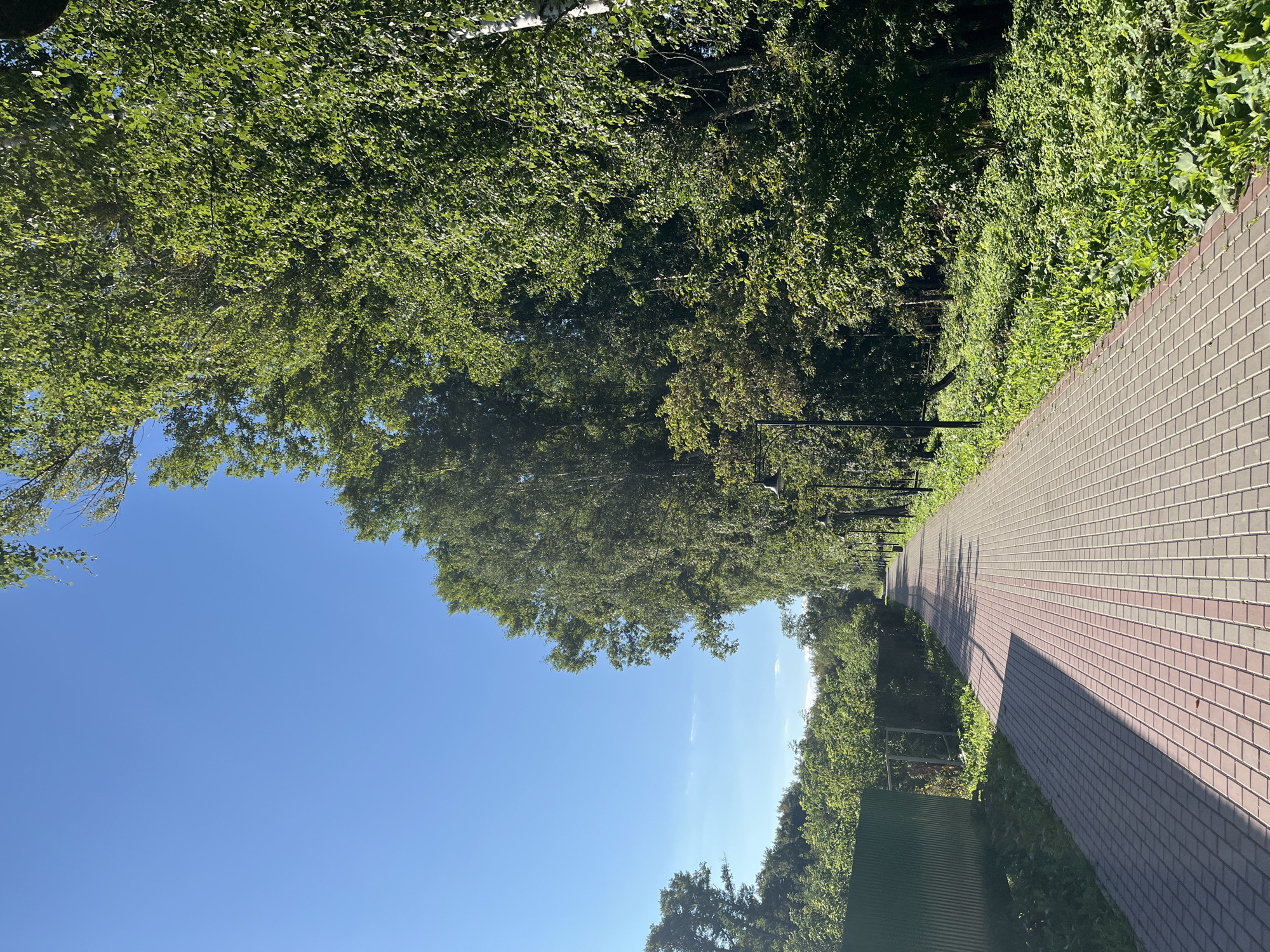 The image depicts a sun-drenched park pathway in Blagoveshchensk, Russia, lined with lush green trees on the right and a fence on the left. The pathway, paved with red and grey rectangular bricks, stretches into the distance, casting long shadows from the trees. Several lampposts are visible along the path. The sky is a clear, bright blue with a few wispy clouds. The scene appears to be a tranquil recreational area.