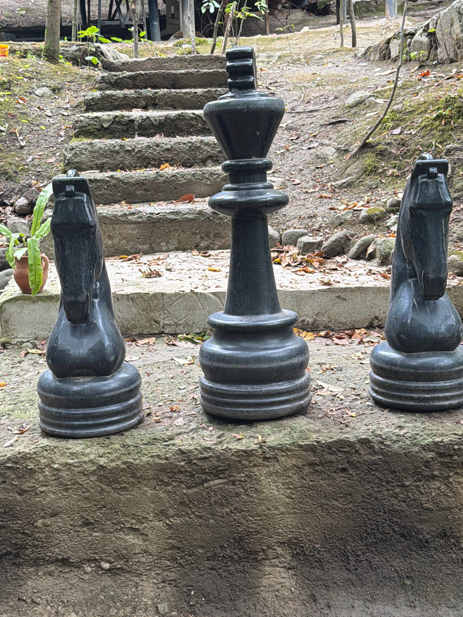 The image depicts a set of oversized chess pieces displayed outdoors on a tiered, stone surface. In the foreground, from left to right, are two black knight chess pieces and one black king chess piece, positioned on a rough, grey stone ledge. Behind them, a series of uneven, moss-covered stone steps ascend a gentle incline. The surrounding environment is naturalistic, with scattered dry leaves and soil covering the ground. A potted green plant sits to the left of the chess pieces. In the background, hints of wooden structures and trees suggest a park or outdoor recreational area. The location is identified as the city of Masalli, Azerbaijan.