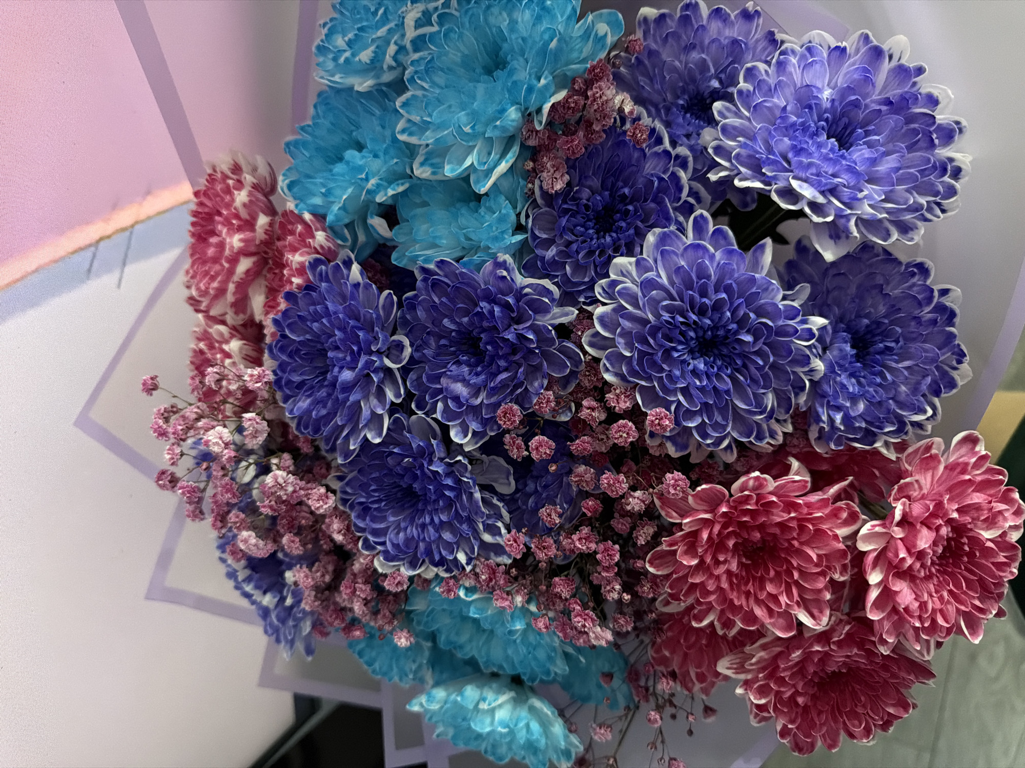 A close-up, eye-level shot depicts a bouquet of dyed chrysanthemums, interspersed with small pink filler flowers. The chrysanthemums are colored blue, purple with white tips, and pink with white tips. The bouquet is wrapped in light-colored paper with a purple geometric design. The location is not discernible from the visual data.