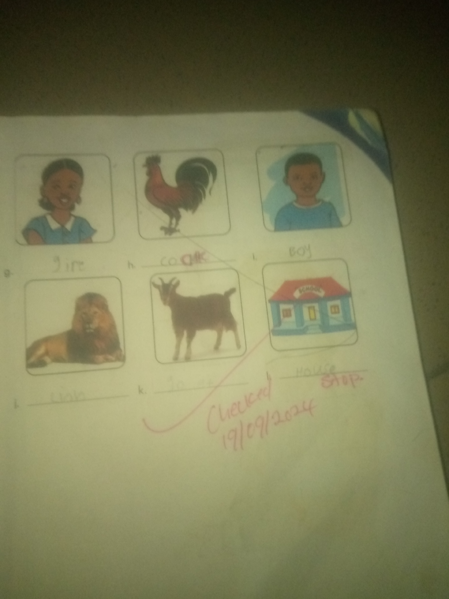 The image is a close-up, slightly blurry, overhead shot of a page from a workbook or children's educational material. The page features several pictures with labels or spaces for writing. The pictures are arranged in a grid-like fashion.
In the top row, from left to right, there are:
1. A cartoon drawing of a young girl with dark hair, smiling, wearing a blue top.
2. A cartoon drawing of a red rooster.
3. A cartoon drawing of a young boy with dark hair, wearing a blue shirt.
Below these, there are labels and corresponding pictures:
- To the left of the girl's picture, a label "g. gire" is written.
- Below the rooster's picture, a label "h. cock" is written.
- Below the boy's picture, a label "i. boy" is written.
In the bottom row, from left to right, there are:
4. A photograph of a lion lying down.
5. A cartoon drawing of a brown goat.
6. A cartoon drawing of a blue school building with a red roof.
Corresponding labels are present:
- Below the lion's picture, a label "i. lion" is written.
- Below the goat's picture, a label "k. go at" is written.
- Below the school building, a label "House stop" is written.
In the lower right portion of the page, there is handwriting in pink marker. It appears to be a checkmark and the text "checked" followed by a date, "19/09/2024". The entire scene is illuminated by an artificial light source, causing some glare and uneven lighting.
The background of the image is a dark, textured surface, possibly a table or floor. The image does not provide any specific information or visual cues to suggest a location in Jauro Yinu, Nigeria.